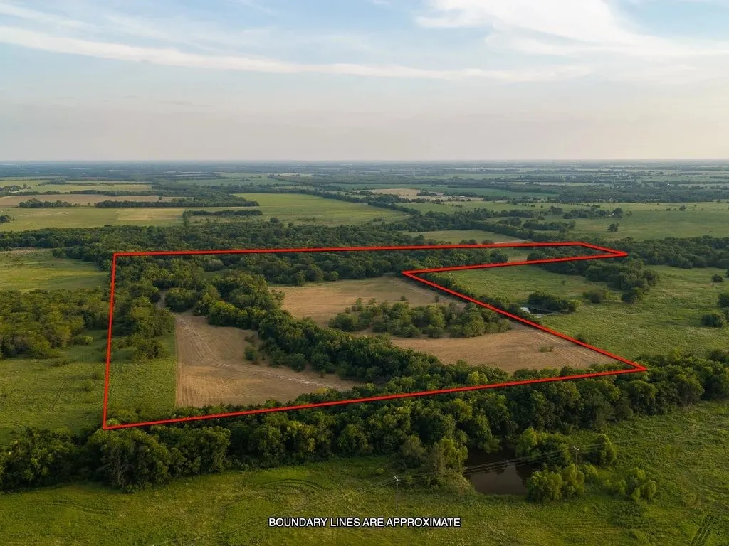 Improved Land For Sale in Fannin County , TBD county road 3660 COUNTY ROAD 3660, Ladonia, Texas 75449, 0, 0, Garage spaces, 0 Sqft, built in 0, Price $436,000, mls#20730513, Real Estate Agent in Ladonia, Homes For Sale in Fannin county, Homes For Sale in Ladonia, Realtor in Ladonia Texas, Real Estate Brokerage Independent Realty Texas, Luminita Cordes Realtor