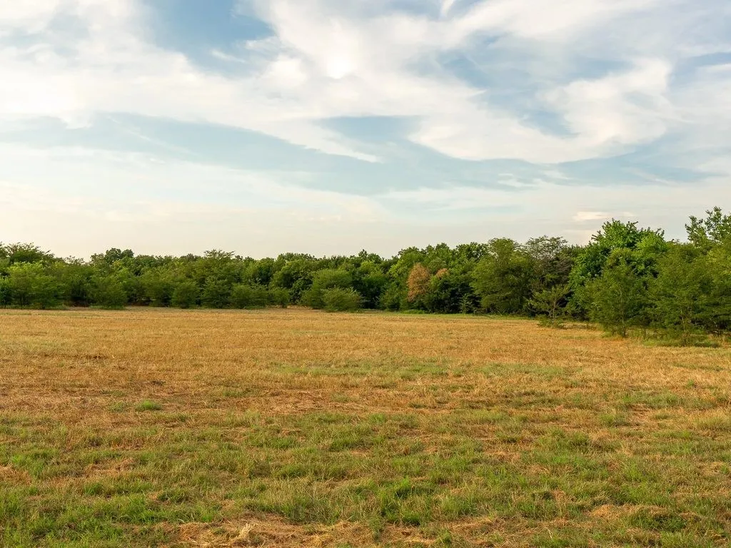 Improved Land For Sale in Fannin County , TBD county road 3660 COUNTY ROAD 3660, Ladonia, Texas 75449, 0, 0, Garage spaces, 0 Sqft, built in 0, Price $436,000, mls#20730513, Real Estate Agent in Ladonia, Homes For Sale in Fannin county, Homes For Sale in Ladonia, Realtor in Ladonia Texas, Real Estate Brokerage Independent Realty Texas, Luminita Cordes Realtor