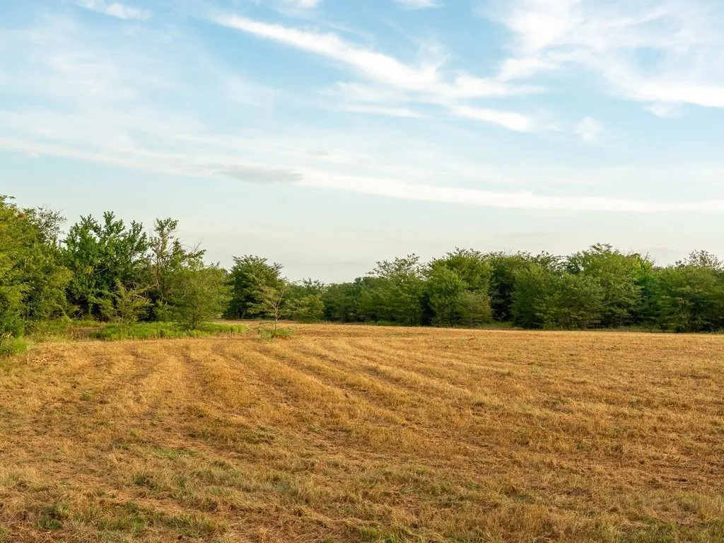 Improved Land For Sale in Fannin County , TBD county road 3660 COUNTY ROAD 3660, Ladonia, Texas 75449, 0, 0, Garage spaces, 0 Sqft, built in 0, Price $436,000, mls#20730513, Real Estate Agent in Ladonia, Homes For Sale in Fannin county, Homes For Sale in Ladonia, Realtor in Ladonia Texas, Real Estate Brokerage Independent Realty Texas, Luminita Cordes Realtor