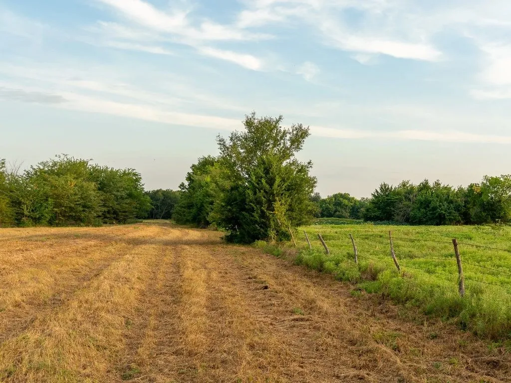 Improved Land For Sale in Fannin County , TBD county road 3660 COUNTY ROAD 3660, Ladonia, Texas 75449, 0, 0, Garage spaces, 0 Sqft, built in 0, Price $436,000, mls#20730513, Real Estate Agent in Ladonia, Homes For Sale in Fannin county, Homes For Sale in Ladonia, Realtor in Ladonia Texas, Real Estate Brokerage Independent Realty Texas, Luminita Cordes Realtor