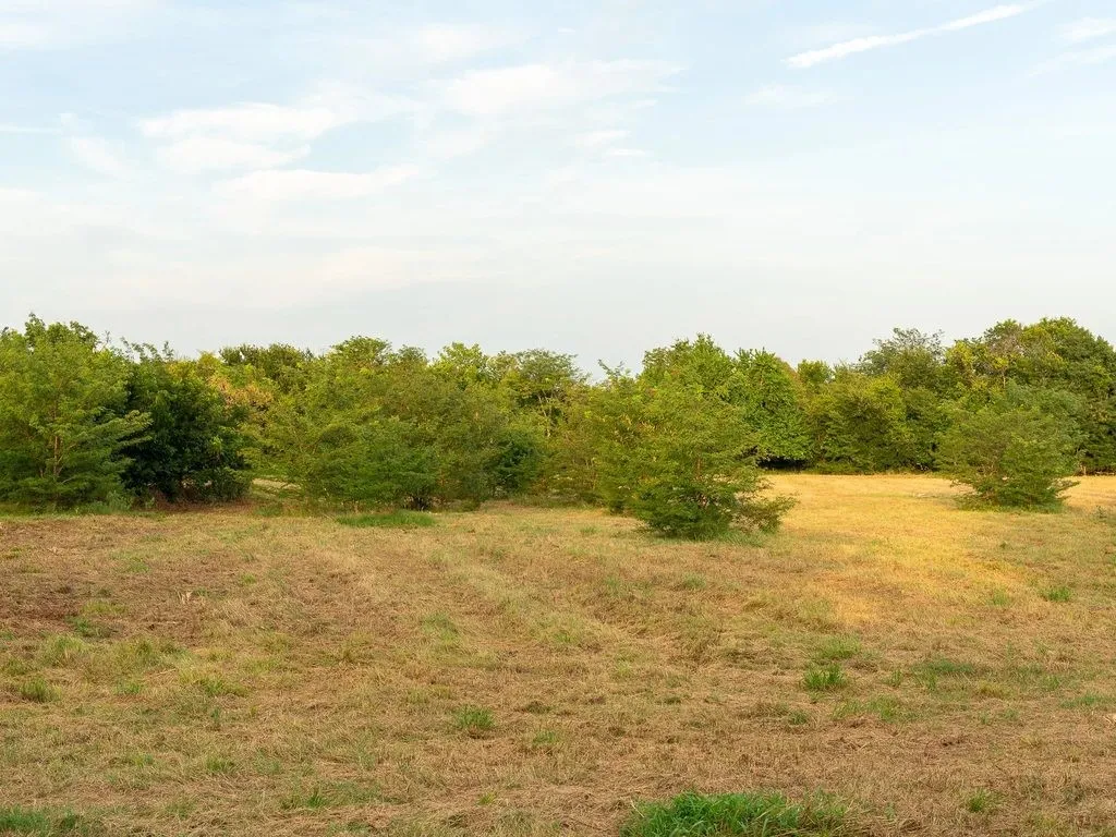 Improved Land For Sale in Fannin County , TBD county road 3660 COUNTY ROAD 3660, Ladonia, Texas 75449, 0, 0, Garage spaces, 0 Sqft, built in 0, Price $436,000, mls#20730513, Real Estate Agent in Ladonia, Homes For Sale in Fannin county, Homes For Sale in Ladonia, Realtor in Ladonia Texas, Real Estate Brokerage Independent Realty Texas, Luminita Cordes Realtor