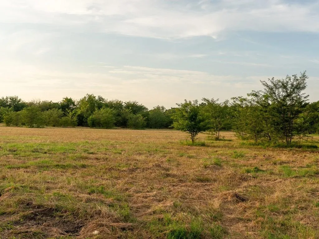 Improved Land For Sale in Fannin County , TBD county road 3660 COUNTY ROAD 3660, Ladonia, Texas 75449, 0, 0, Garage spaces, 0 Sqft, built in 0, Price $436,000, mls#20730513, Real Estate Agent in Ladonia, Homes For Sale in Fannin county, Homes For Sale in Ladonia, Realtor in Ladonia Texas, Real Estate Brokerage Independent Realty Texas, Luminita Cordes Realtor