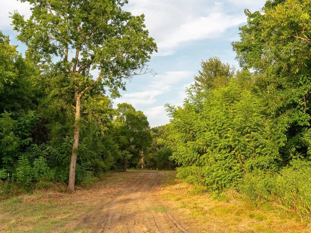 Improved Land For Sale in Fannin County , TBD county road 3660 COUNTY ROAD 3660, Ladonia, Texas 75449, 0, 0, Garage spaces, 0 Sqft, built in 0, Price $436,000, mls#20730513, Real Estate Agent in Ladonia, Homes For Sale in Fannin county, Homes For Sale in Ladonia, Realtor in Ladonia Texas, Real Estate Brokerage Independent Realty Texas, Luminita Cordes Realtor