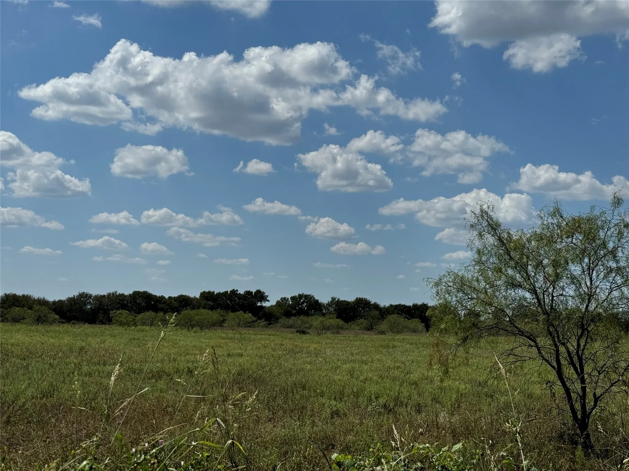 Ranch For Sale in Johnson County , TBD2 County Road 1240, Cleburne, Texas 76033, 0, 0, Garage spaces, 0 Sqft, built in 0, Price $201,500, mls#20732758, Real Estate Agent in Cleburne, Homes For Sale in Johnson county, Homes For Sale in Cleburne, Realtor in Cleburne Texas, Real Estate Brokerage Independent Realty Texas, Luminita Cordes Realtor