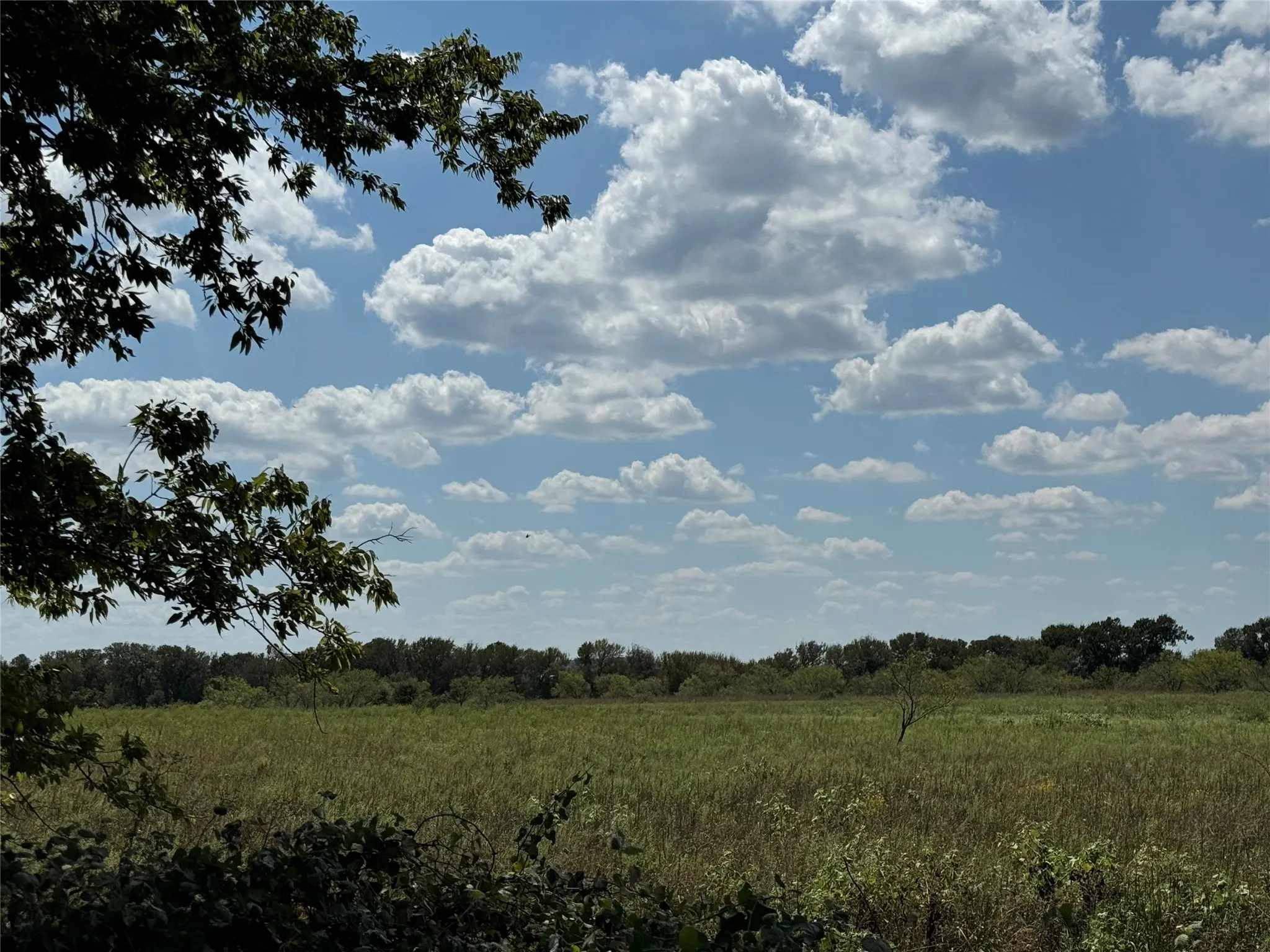 Ranch For Sale in Johnson County , TBD2 County Road 1240, Cleburne, Texas 76033, 0, 0, Garage spaces, 0 Sqft, built in 0, Price $201,500, mls#20732758, Real Estate Agent in Cleburne, Homes For Sale in Johnson county, Homes For Sale in Cleburne, Realtor in Cleburne Texas, Real Estate Brokerage Independent Realty Texas, Luminita Cordes Realtor