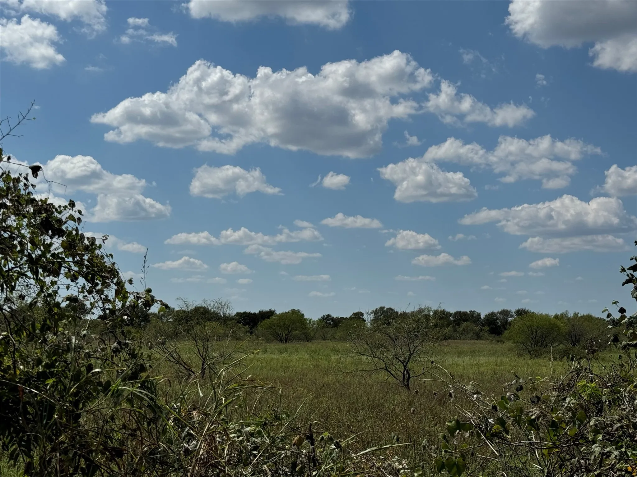 Ranch For Sale in Johnson County , TBD2 County Road 1240, Cleburne, Texas 76033, 0, 0, Garage spaces, 0 Sqft, built in 0, Price $201,500, mls#20732758, Real Estate Agent in Cleburne, Homes For Sale in Johnson county, Homes For Sale in Cleburne, Realtor in Cleburne Texas, Real Estate Brokerage Independent Realty Texas, Luminita Cordes Realtor