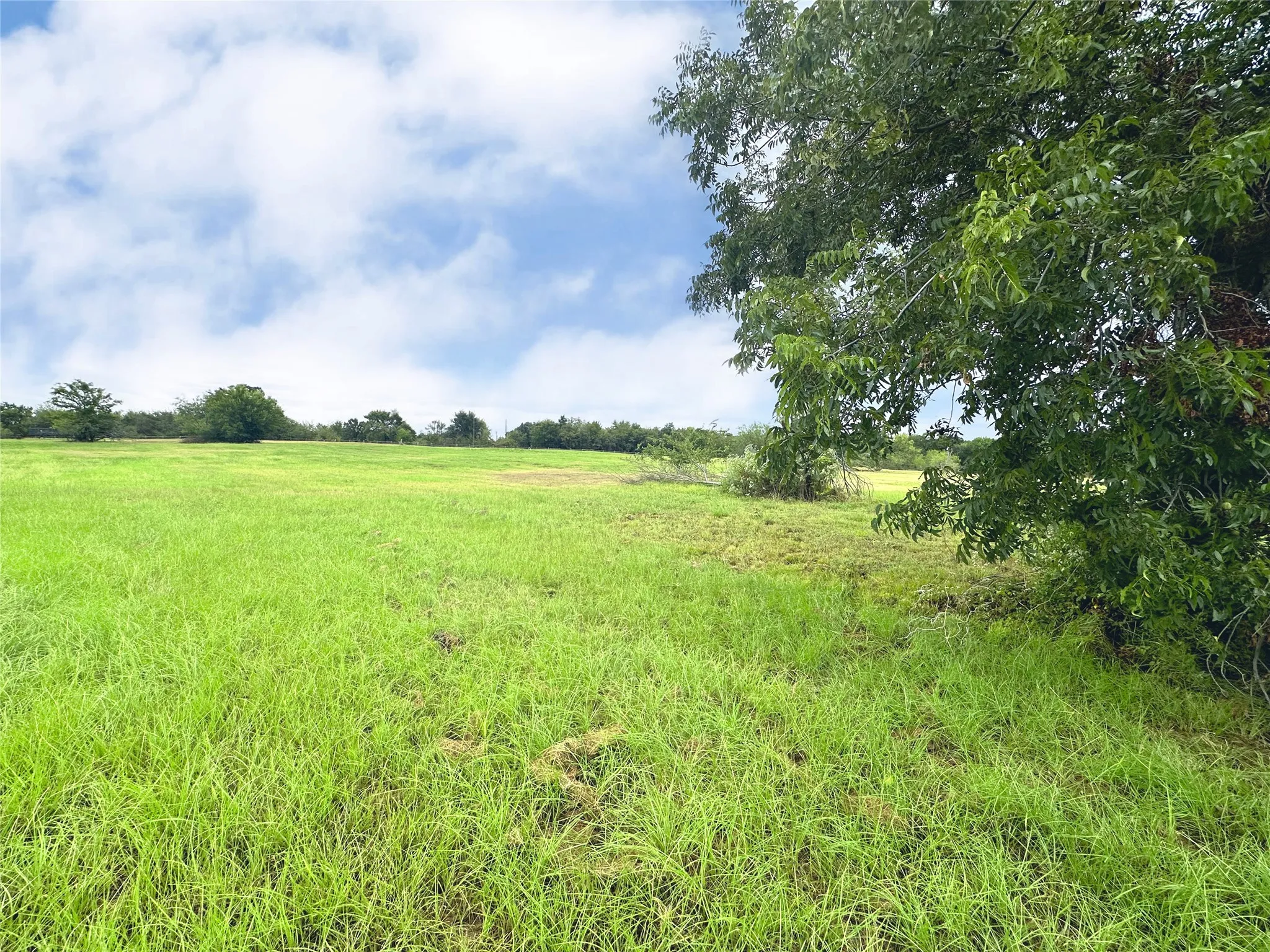 Unimproved Land For Sale in Navarro County , Lot 131 Lake Vista Drive, Streetman, Texas 75859, 0, 0, Garage spaces, 0 Sqft, built in 0, mls#20736162, Real Estate Agent in Streetman, Homes For Sale in Navarro county, Homes For Sale in Streetman, Realtor in Streetman Texas, Real Estate Brokerage Independent Realty Texas, Luminita Cordes Realtor