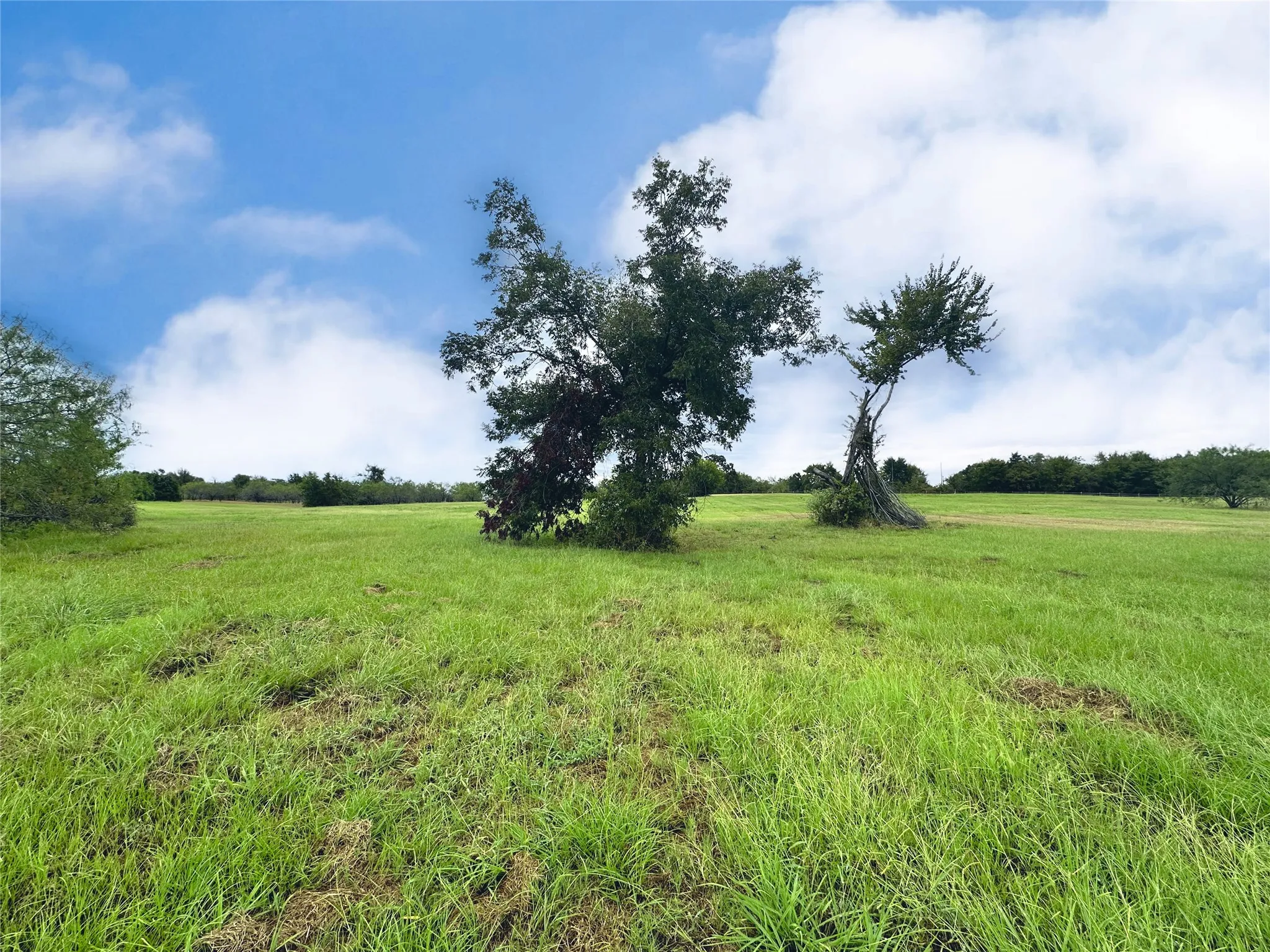 Unimproved Land For Sale in Navarro County , Lot 131 Lake Vista Drive, Streetman, Texas 75859, 0, 0, Garage spaces, 0 Sqft, built in 0, mls#20736162, Real Estate Agent in Streetman, Homes For Sale in Navarro county, Homes For Sale in Streetman, Realtor in Streetman Texas, Real Estate Brokerage Independent Realty Texas, Luminita Cordes Realtor