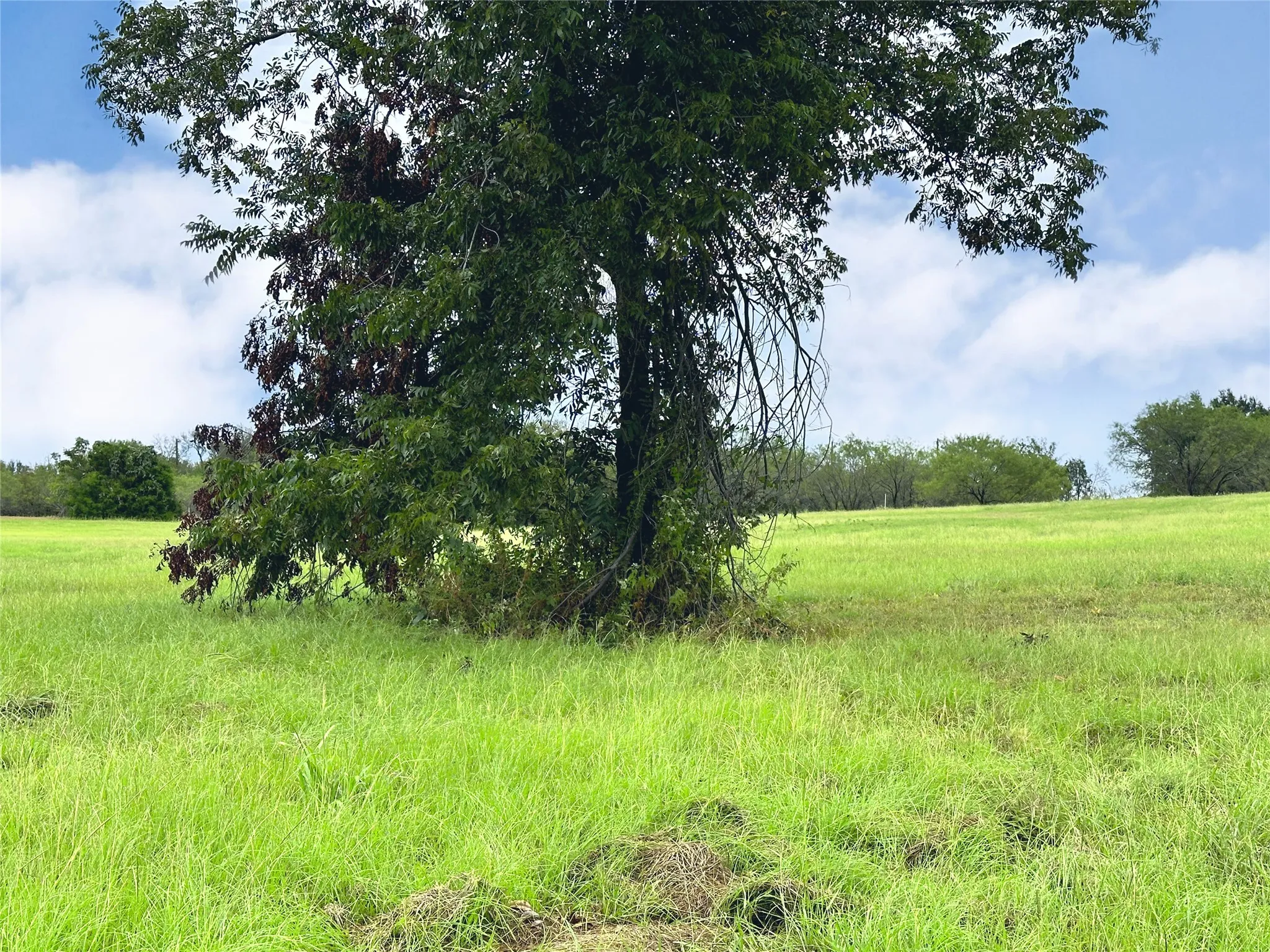 Unimproved Land For Sale in Navarro County , Lot 131 Lake Vista Drive, Streetman, Texas 75859, 0, 0, Garage spaces, 0 Sqft, built in 0, mls#20736162, Real Estate Agent in Streetman, Homes For Sale in Navarro county, Homes For Sale in Streetman, Realtor in Streetman Texas, Real Estate Brokerage Independent Realty Texas, Luminita Cordes Realtor