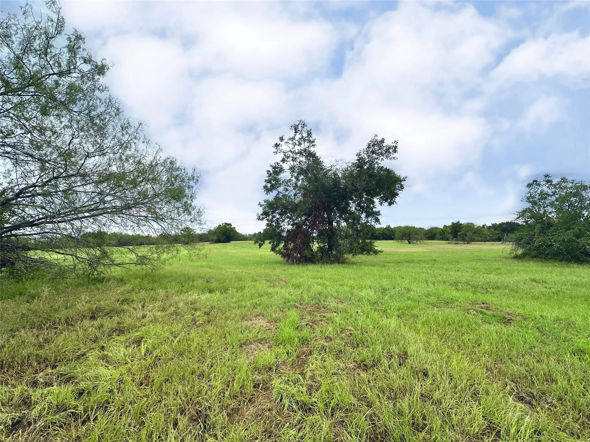 Unimproved Land For Sale in Navarro County , Lot 131 Lake Vista Drive, Streetman, Texas 75859, 0, 0, Garage spaces, 0 Sqft, built in 0, mls#20736162, Real Estate Agent in Streetman, Homes For Sale in Navarro county, Homes For Sale in Streetman, Realtor in Streetman Texas, Real Estate Brokerage Independent Realty Texas, Luminita Cordes Realtor