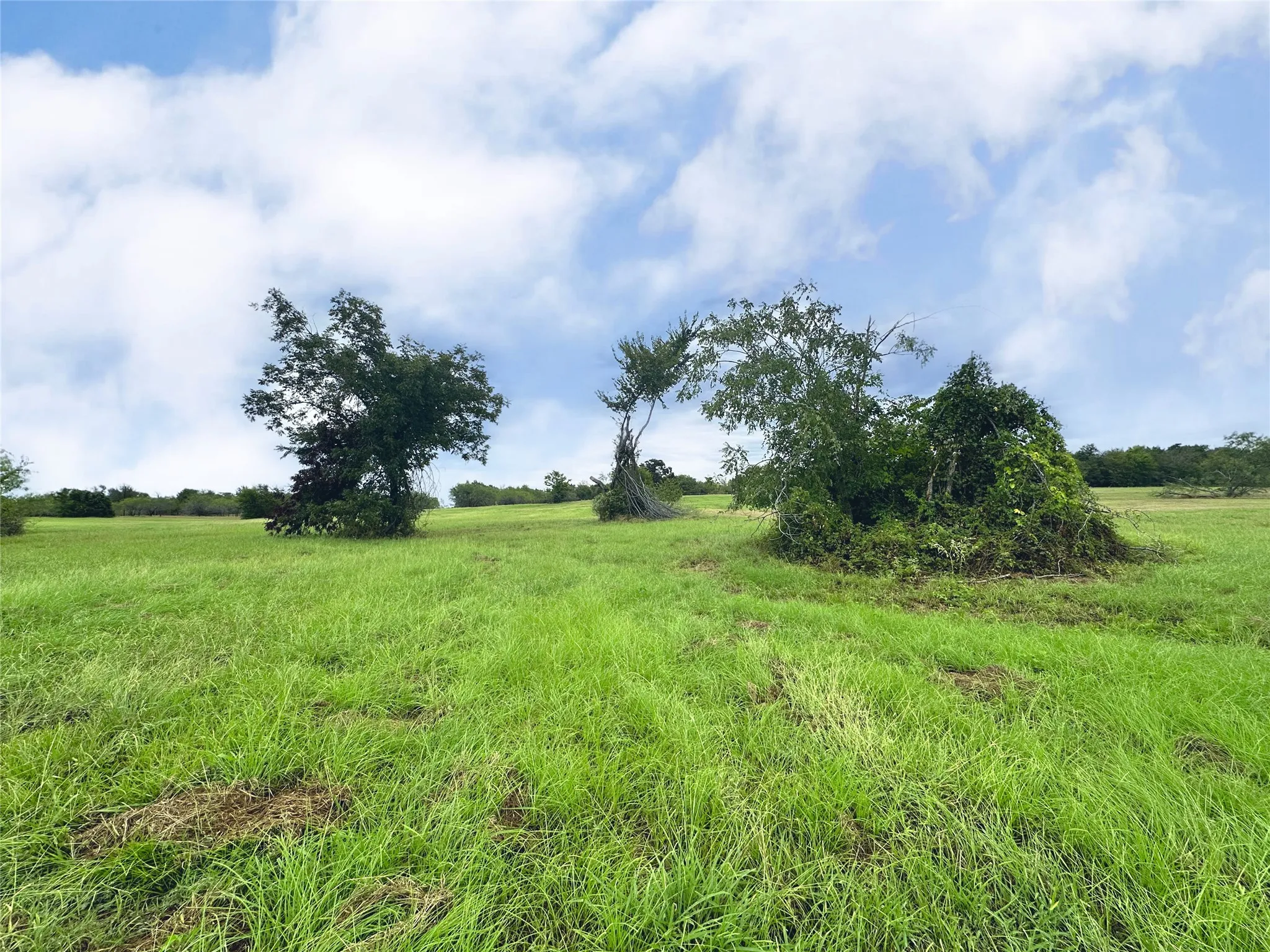 Unimproved Land For Sale in Navarro County , Lot 131 Lake Vista Drive, Streetman, Texas 75859, 0, 0, Garage spaces, 0 Sqft, built in 0, mls#20736162, Real Estate Agent in Streetman, Homes For Sale in Navarro county, Homes For Sale in Streetman, Realtor in Streetman Texas, Real Estate Brokerage Independent Realty Texas, Luminita Cordes Realtor
