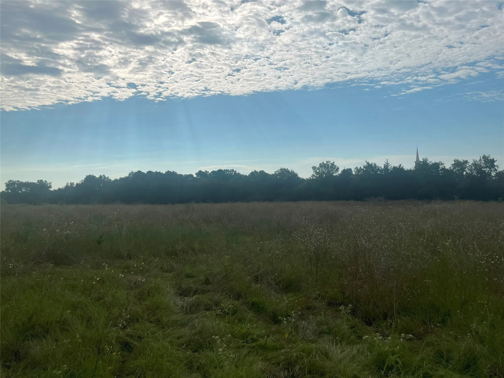 View of landscape featuring a rural view