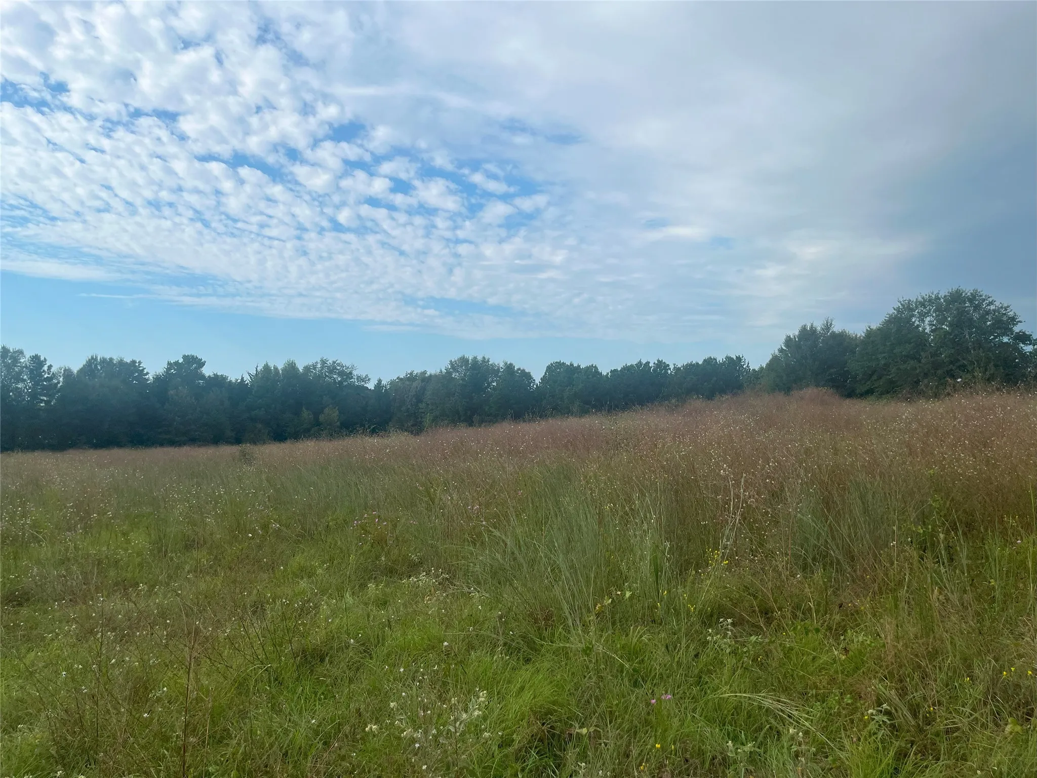View of nature