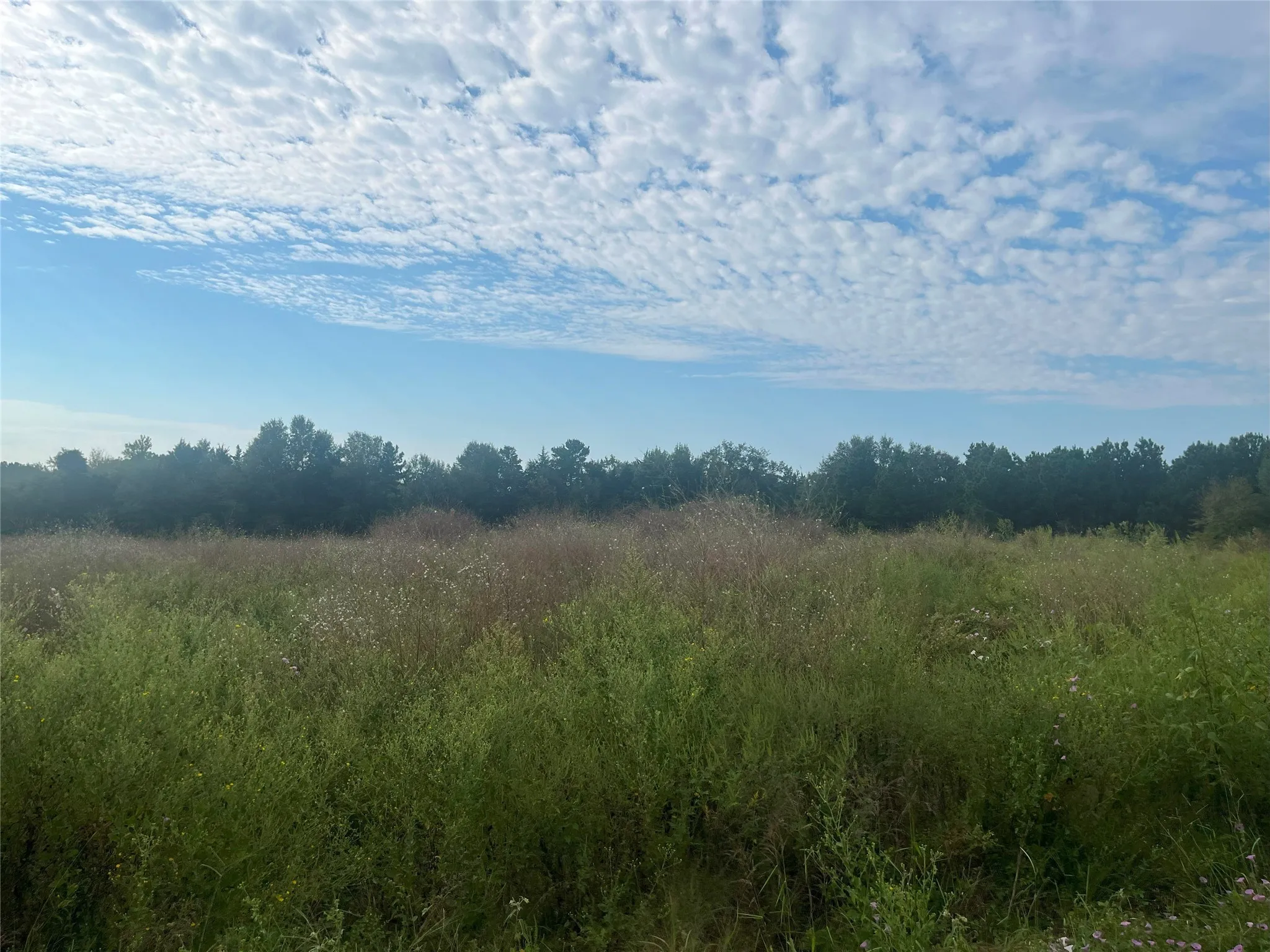 View of landscape