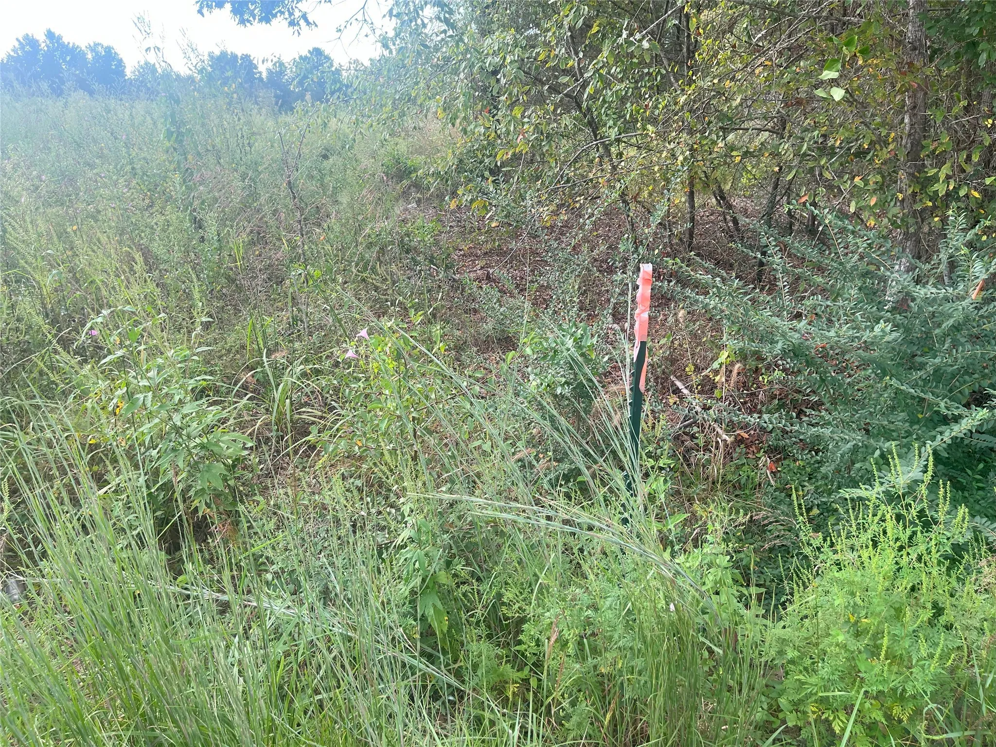 View of landscape