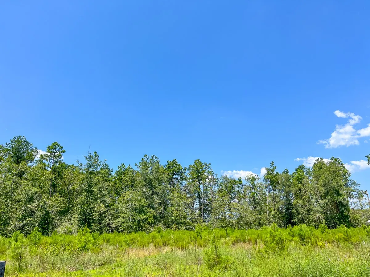 View of nature