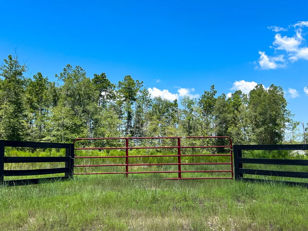 View of gate
