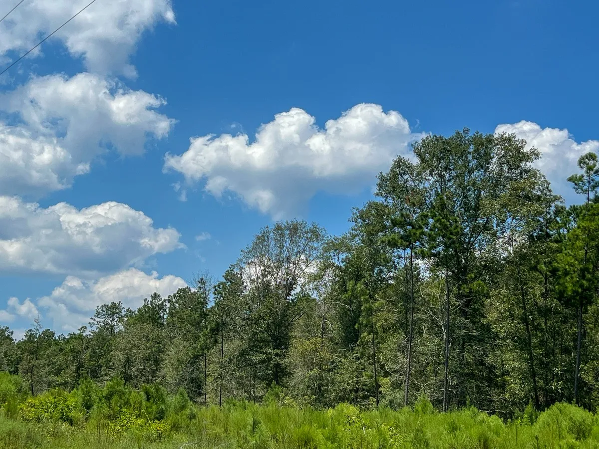 View of landscape