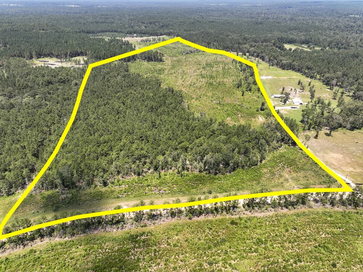 Ranch For Sale in Polk County , 0007 Purvis Boulevard, Corrigan, Texas 77351, 0, 0, Garage spaces, 0 Sqft, built in 0, mls#20738665, Real Estate Agent in Corrigan, Homes For Sale in Polk county, Homes For Sale in Corrigan, Realtor in Corrigan Texas, Real Estate Brokerage Independent Realty Texas, Luminita Cordes Realtor