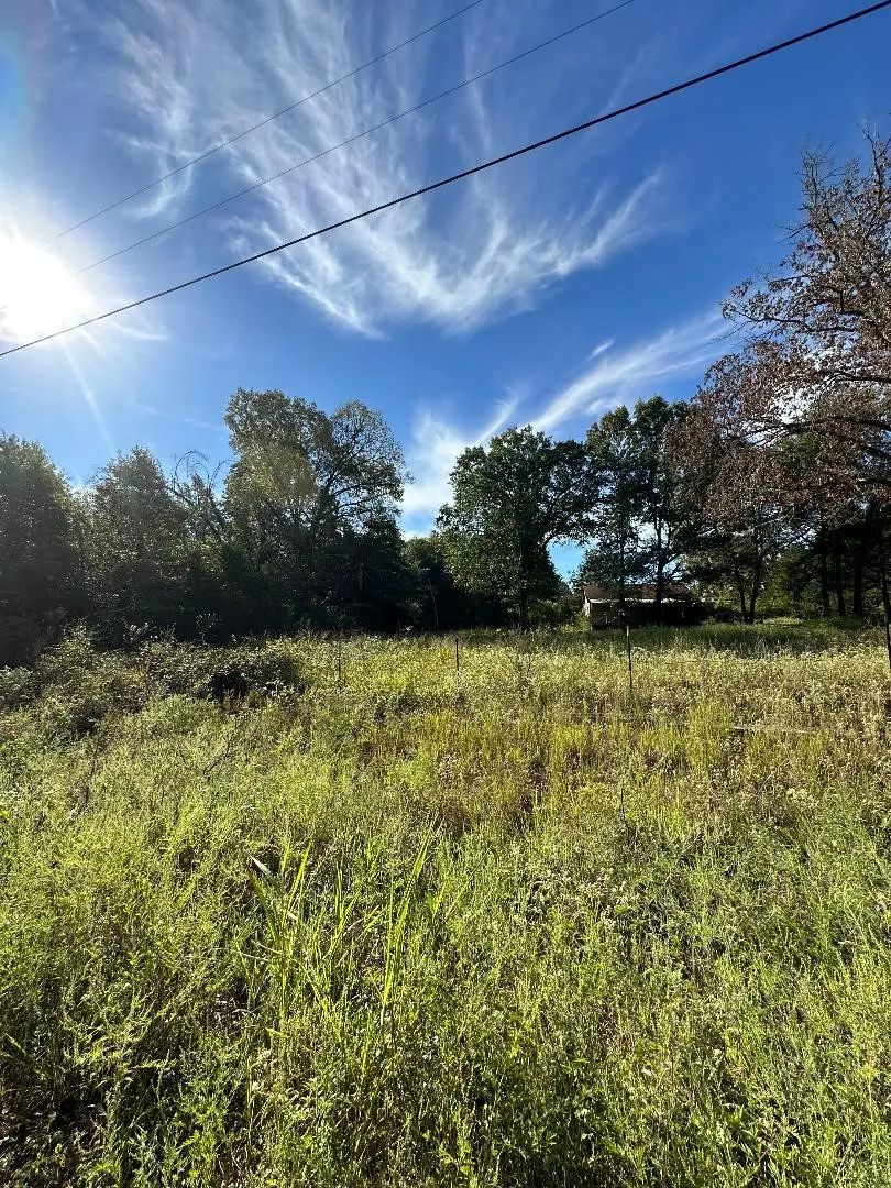 Improved Land For Sale in Lamar County , 234 Private Road 34615, Sumner, Texas 75486, 0, 0, Garage spaces, 0 Sqft, built in 0, mls#20741383, Real Estate Agent in Sumner, Homes For Sale in Lamar county, Homes For Sale in Sumner, Realtor in Sumner Texas, Real Estate Brokerage Independent Realty Texas, Luminita Cordes Realtor