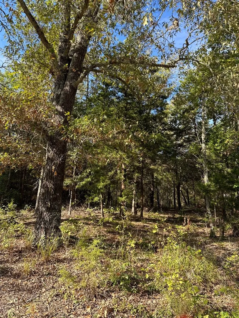 Improved Land For Sale in Lamar County , 234 Private Road 34615, Sumner, Texas 75486, 0, 0, Garage spaces, 0 Sqft, built in 0, mls#20741383, Real Estate Agent in Sumner, Homes For Sale in Lamar county, Homes For Sale in Sumner, Realtor in Sumner Texas, Real Estate Brokerage Independent Realty Texas, Luminita Cordes Realtor