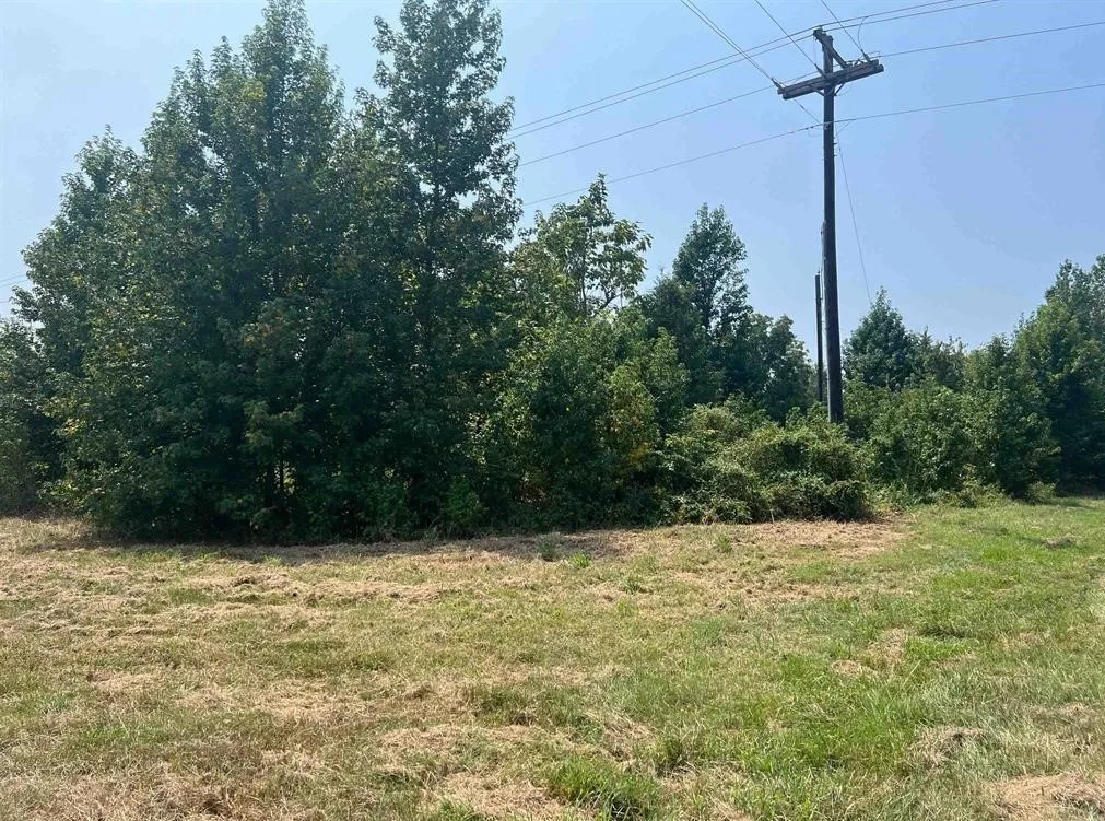 Unimproved Land For Sale in Titus County , TBD FM 1402, Mt Pleasant, Texas 75455, 0, 0, Garage spaces, 0 Sqft, built in 0, Price $34,900, mls#20741401, Real Estate Agent in Mt Pleasant, Homes For Sale in Titus county, Homes For Sale in Mt Pleasant, Realtor in Mt Pleasant Texas, Real Estate Brokerage Independent Realty Texas, Luminita Cordes Realtor