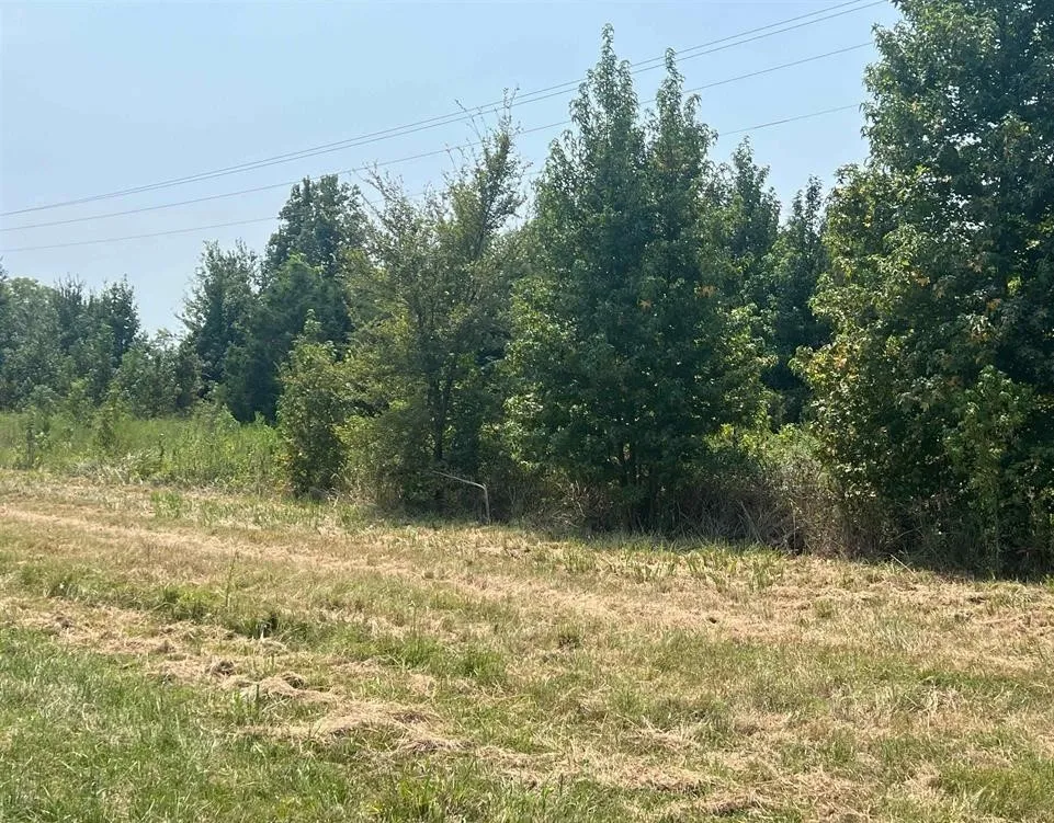View of local wilderness