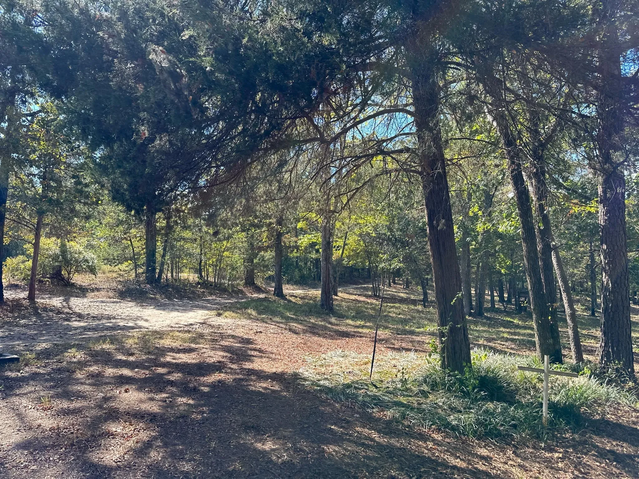 View of nature