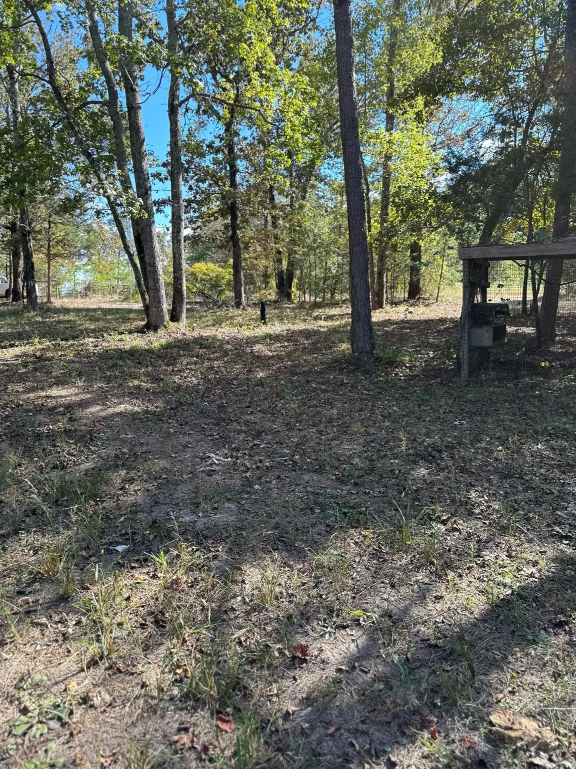 View of local wilderness