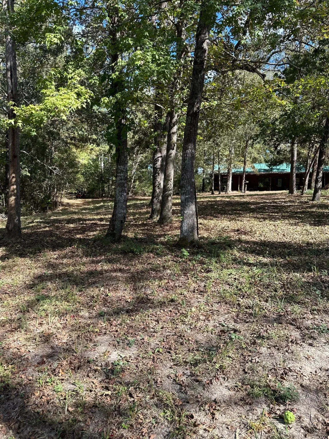 Single Family Residence For Sale in Smith County , 11420 County Road 420, Tyler, Texas 75704, 3 Bedroom, 2 Bathroom, Garage spaces, 2,200 Sqft, built in 2016, mls#20741530, Real Estate Agent in Tyler, Homes For Sale in Smith county, Homes For Sale in Tyler, Realtor in Tyler Texas, Real Estate Brokerage Independent Realty Texas, Luminita Cordes Realtor