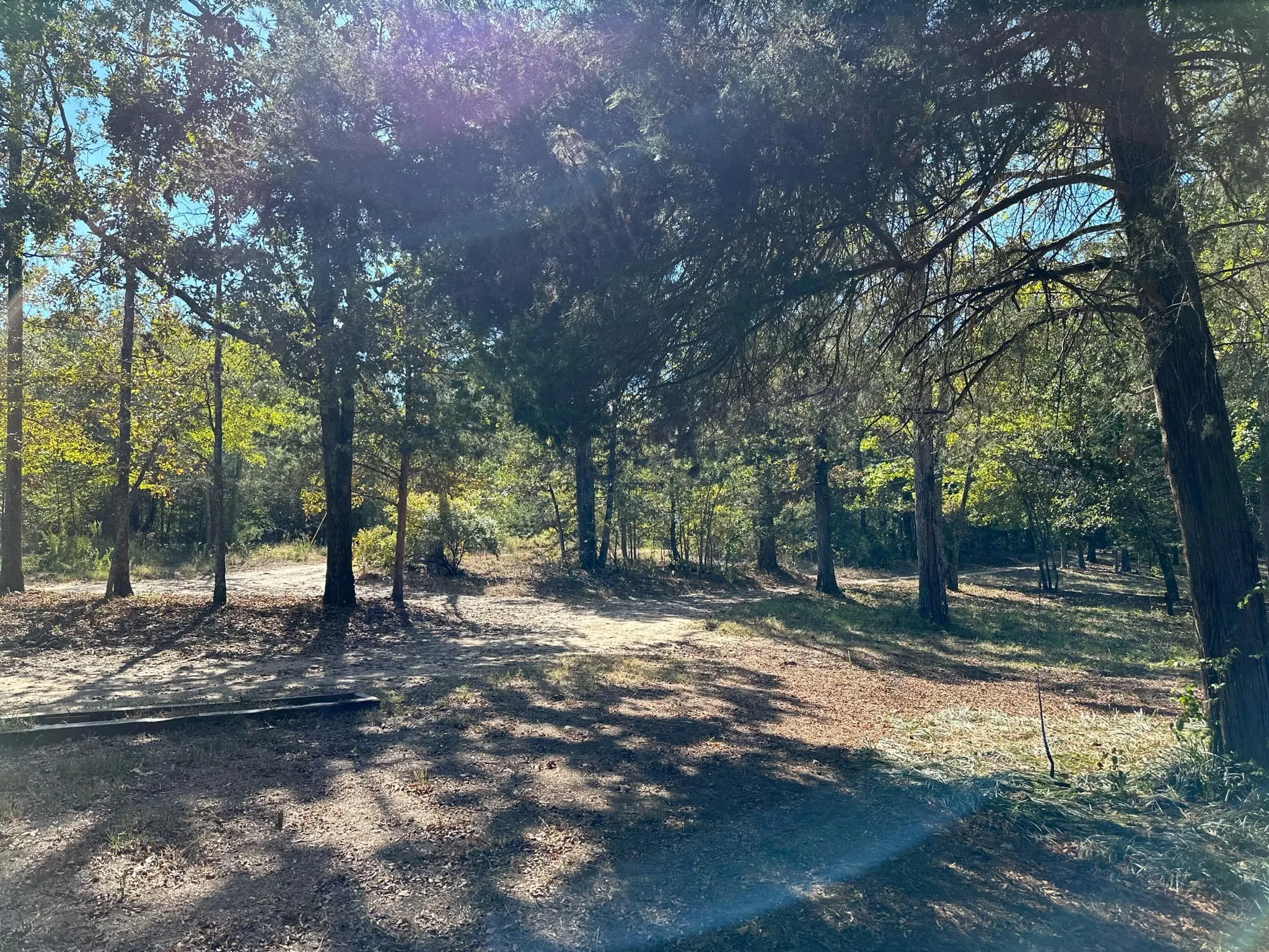 View of local wilderness