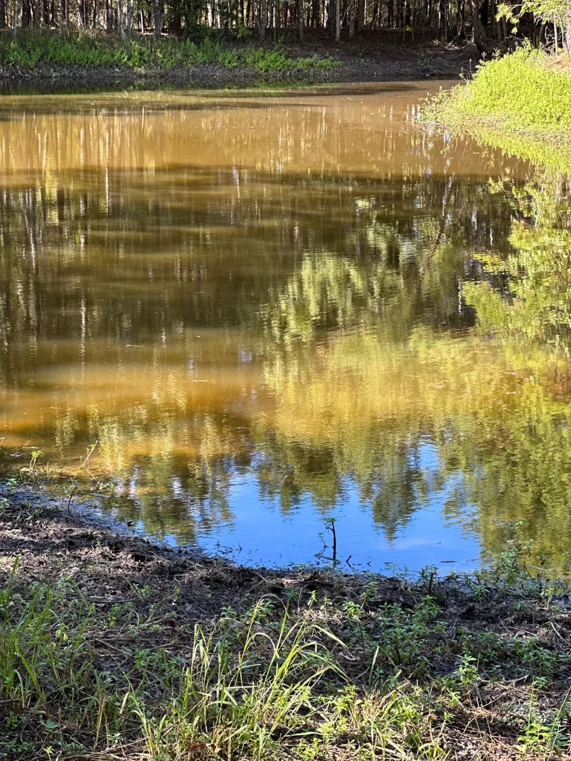View of water feature