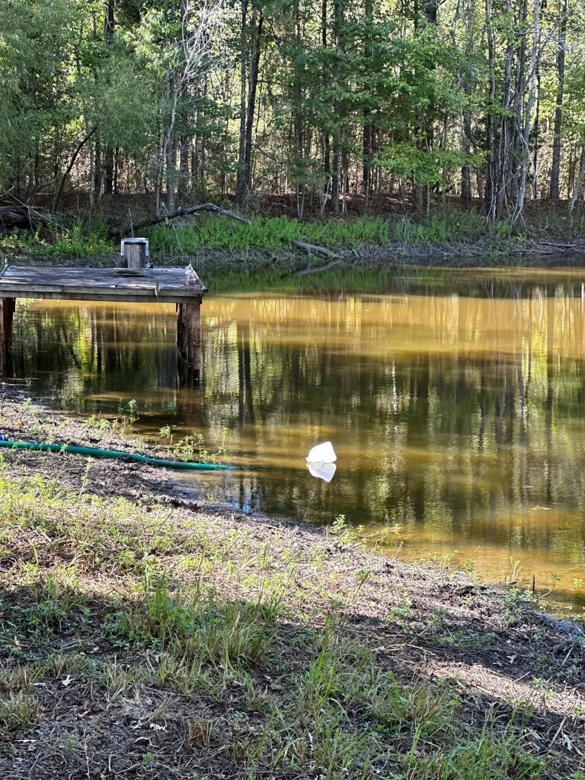 Single Family Residence For Sale in Smith County , 11420 County Road 420, Tyler, Texas 75704, 3 Bedroom, 2 Bathroom, Garage spaces, 2,200 Sqft, built in 2016, mls#20741530, Real Estate Agent in Tyler, Homes For Sale in Smith county, Homes For Sale in Tyler, Realtor in Tyler Texas, Real Estate Brokerage Independent Realty Texas, Luminita Cordes Realtor