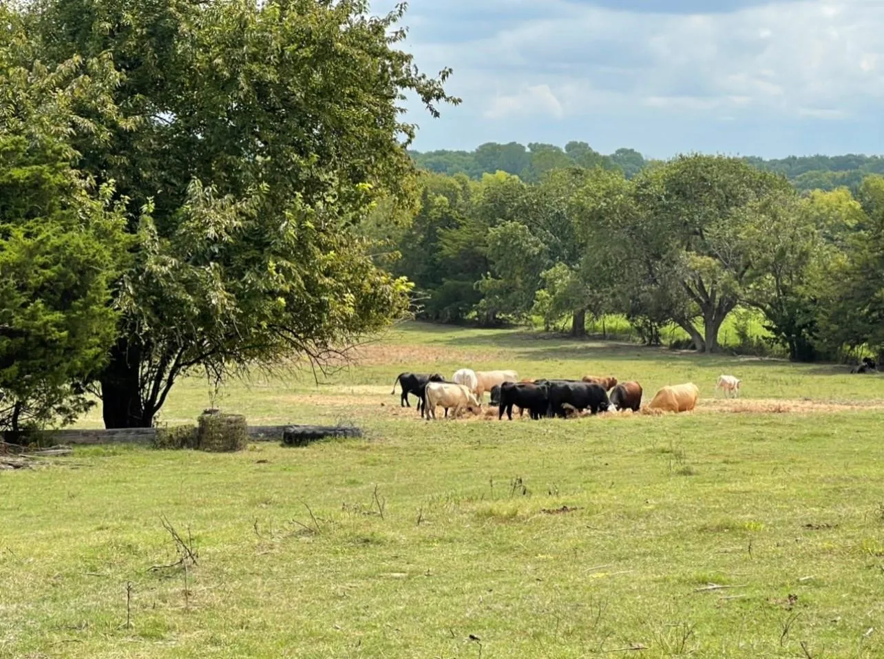 View of yard featuring a rural view