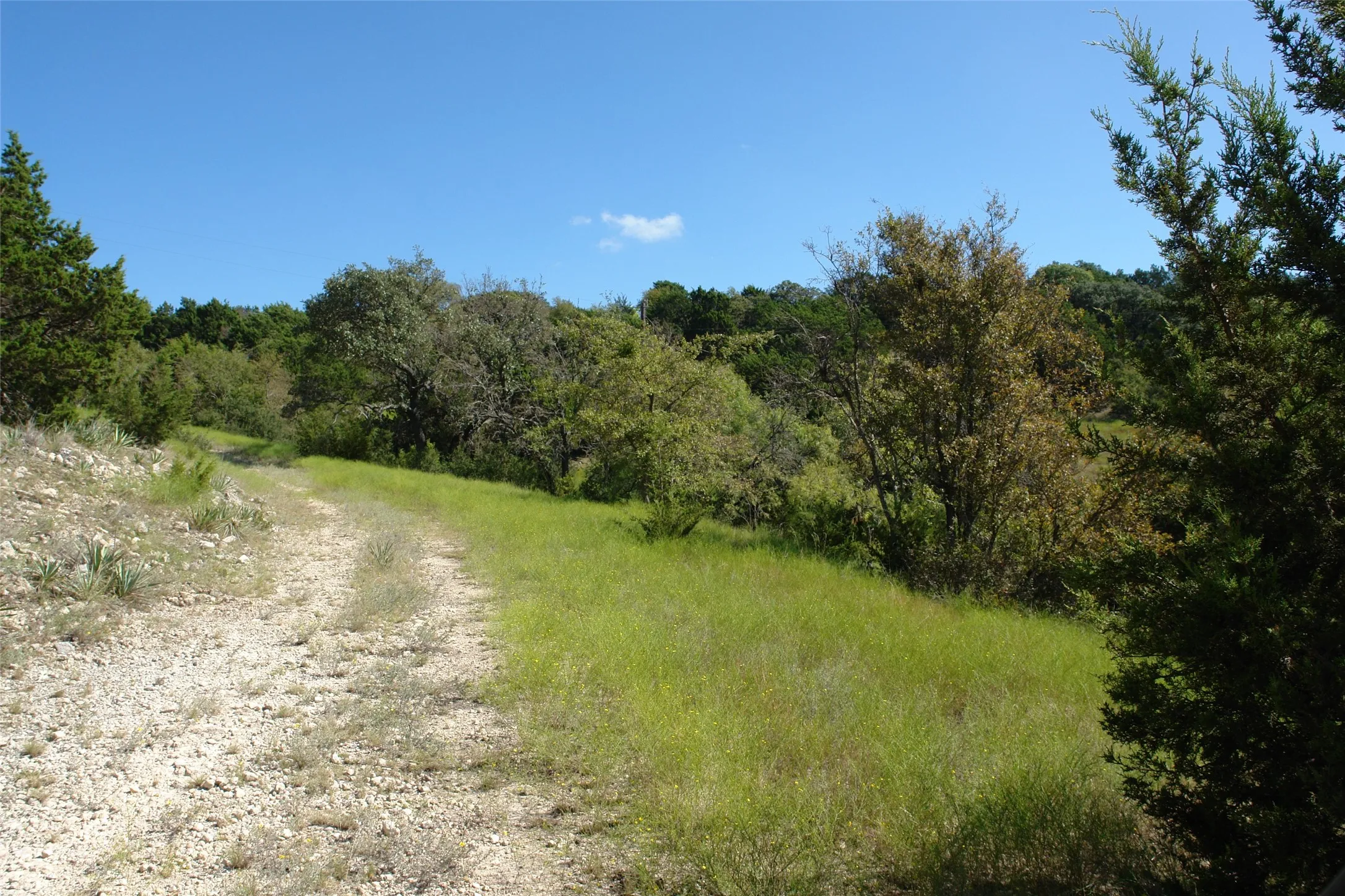 View of landscape