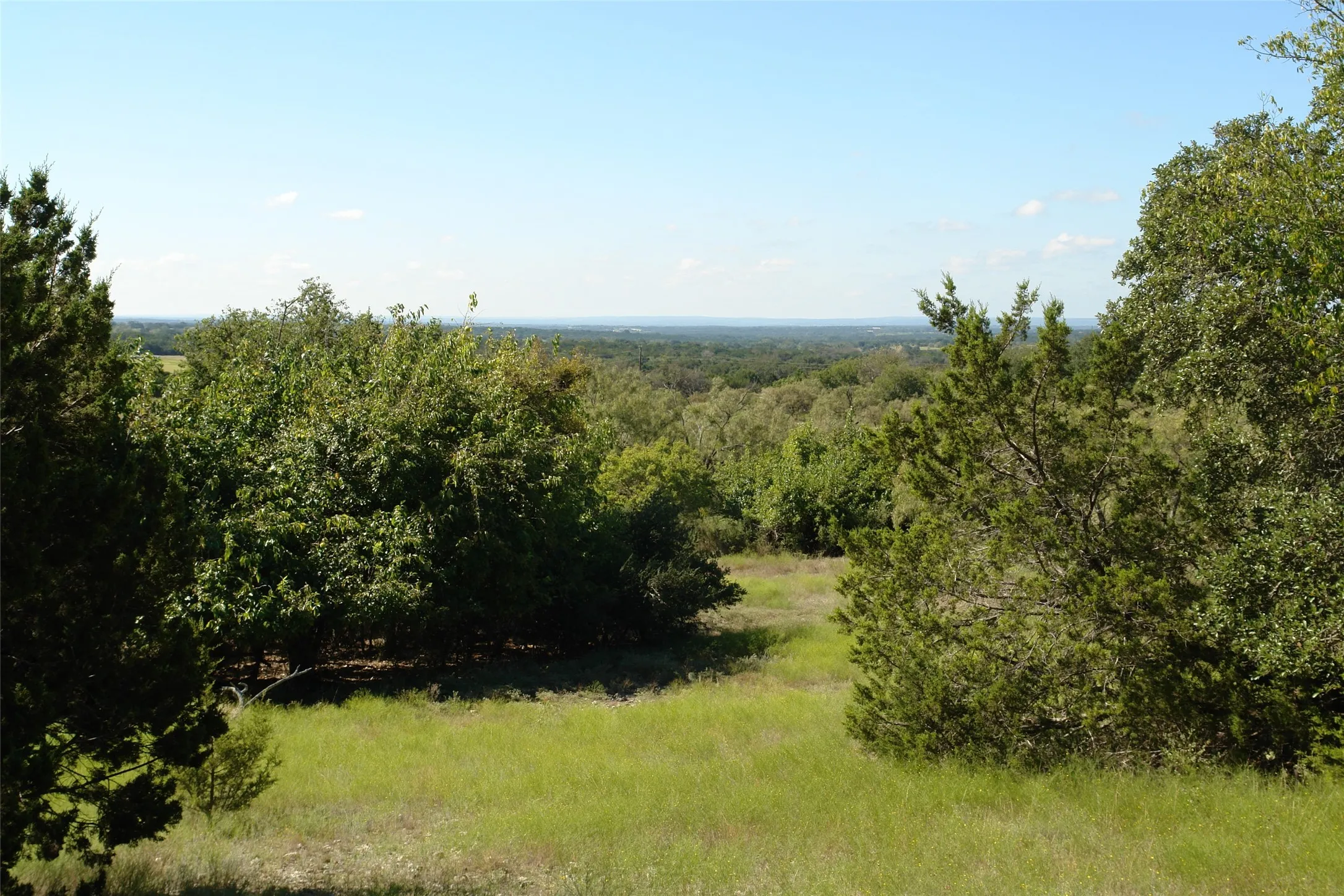 View of nature