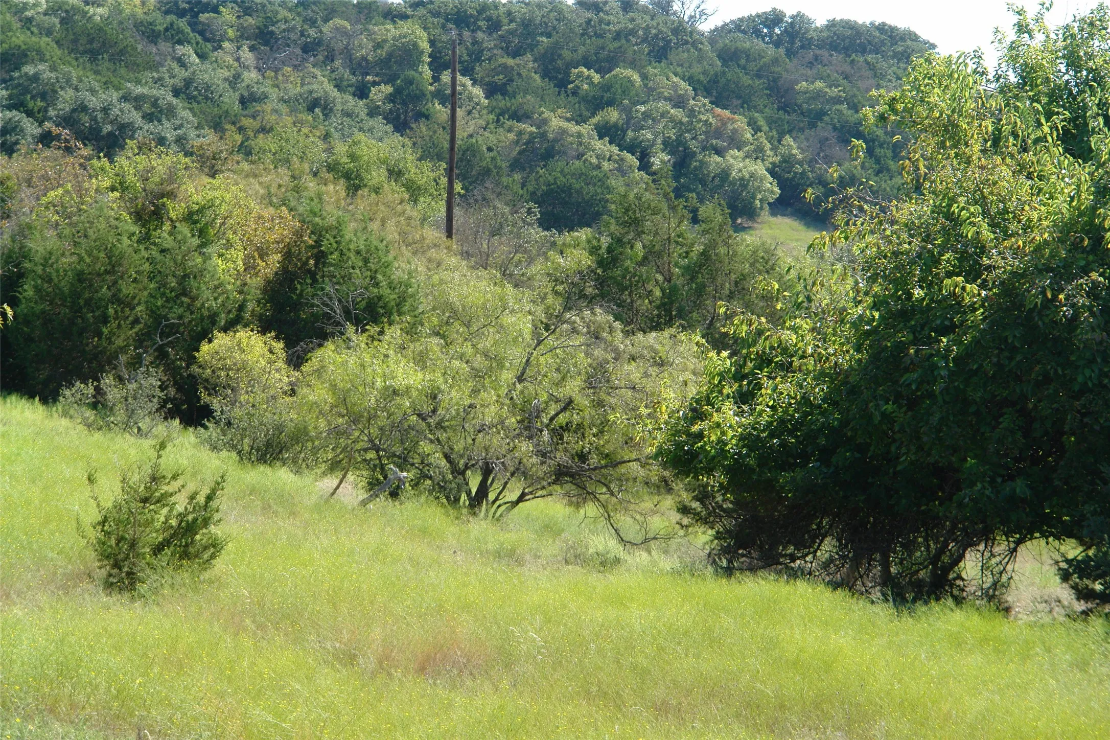 View of landscape