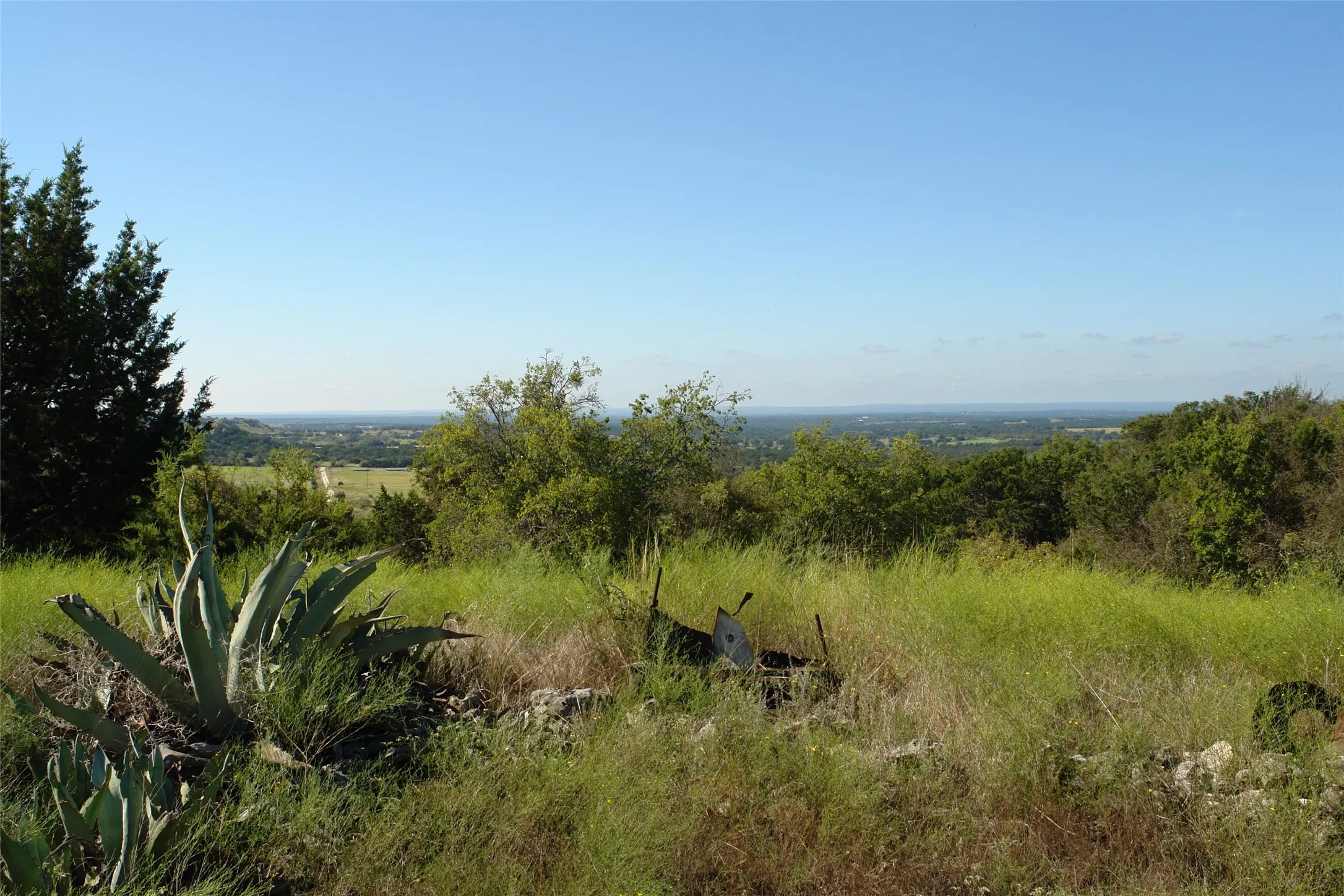 View of nature
