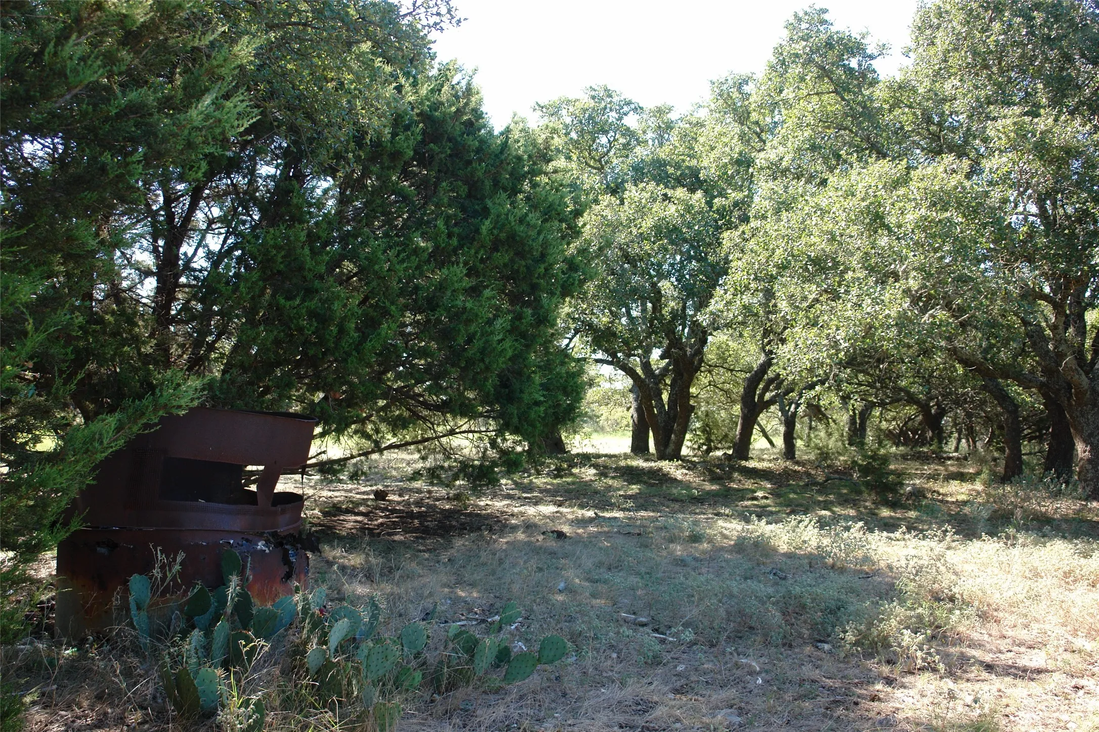 View of local wilderness