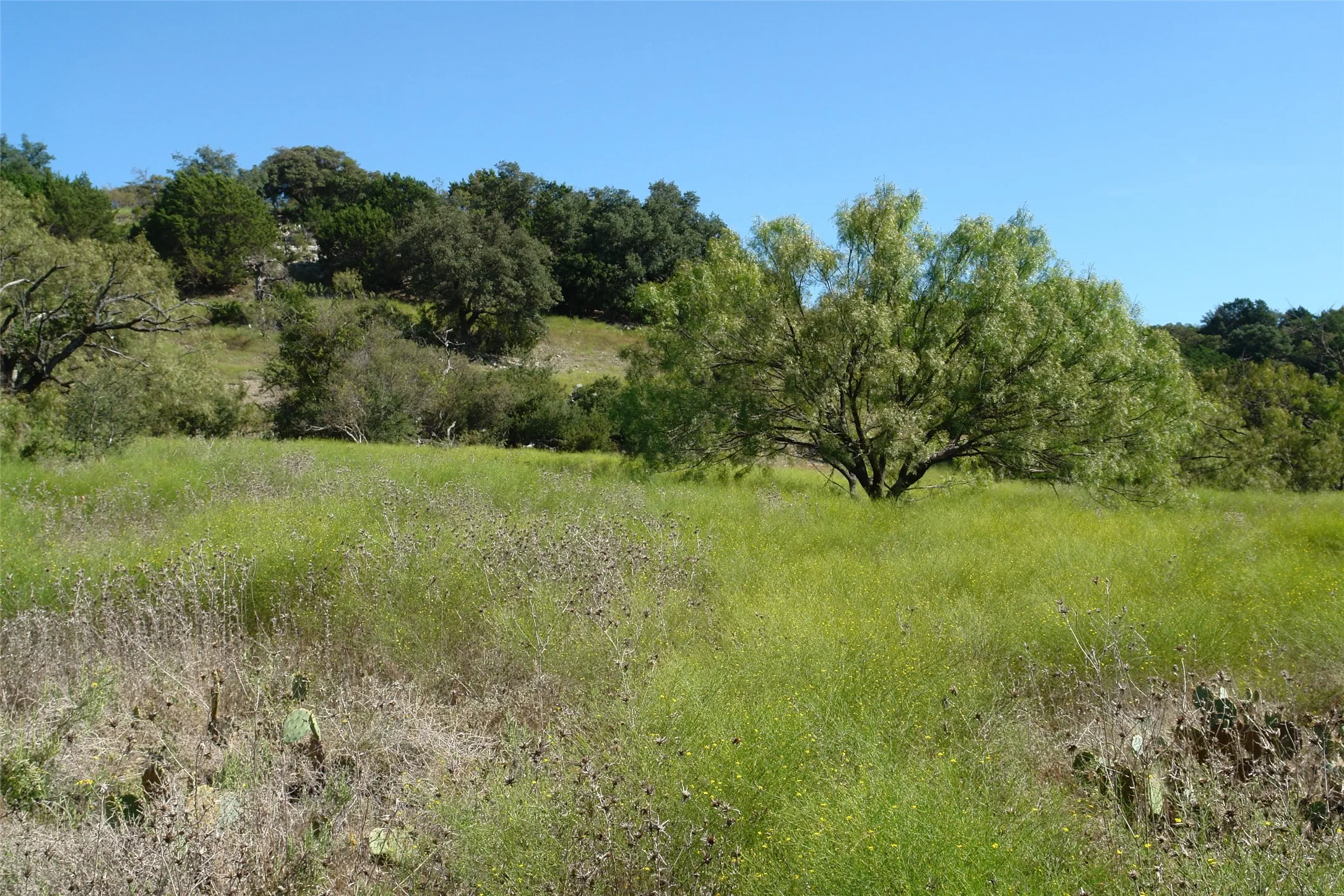 View of nature with a rural view