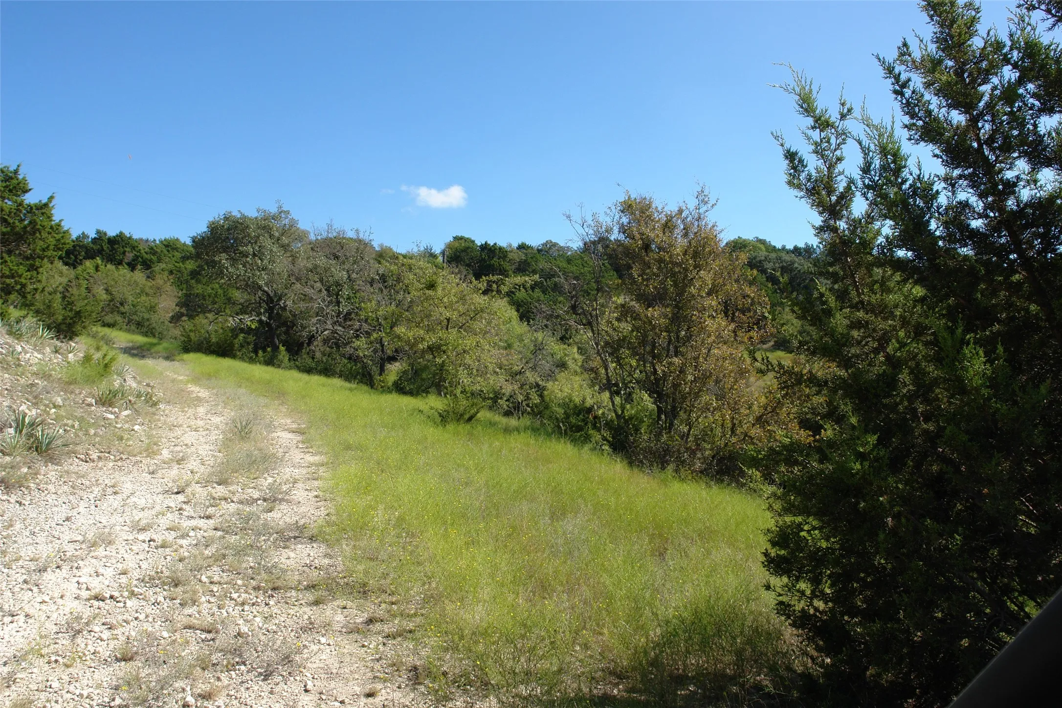View of nature