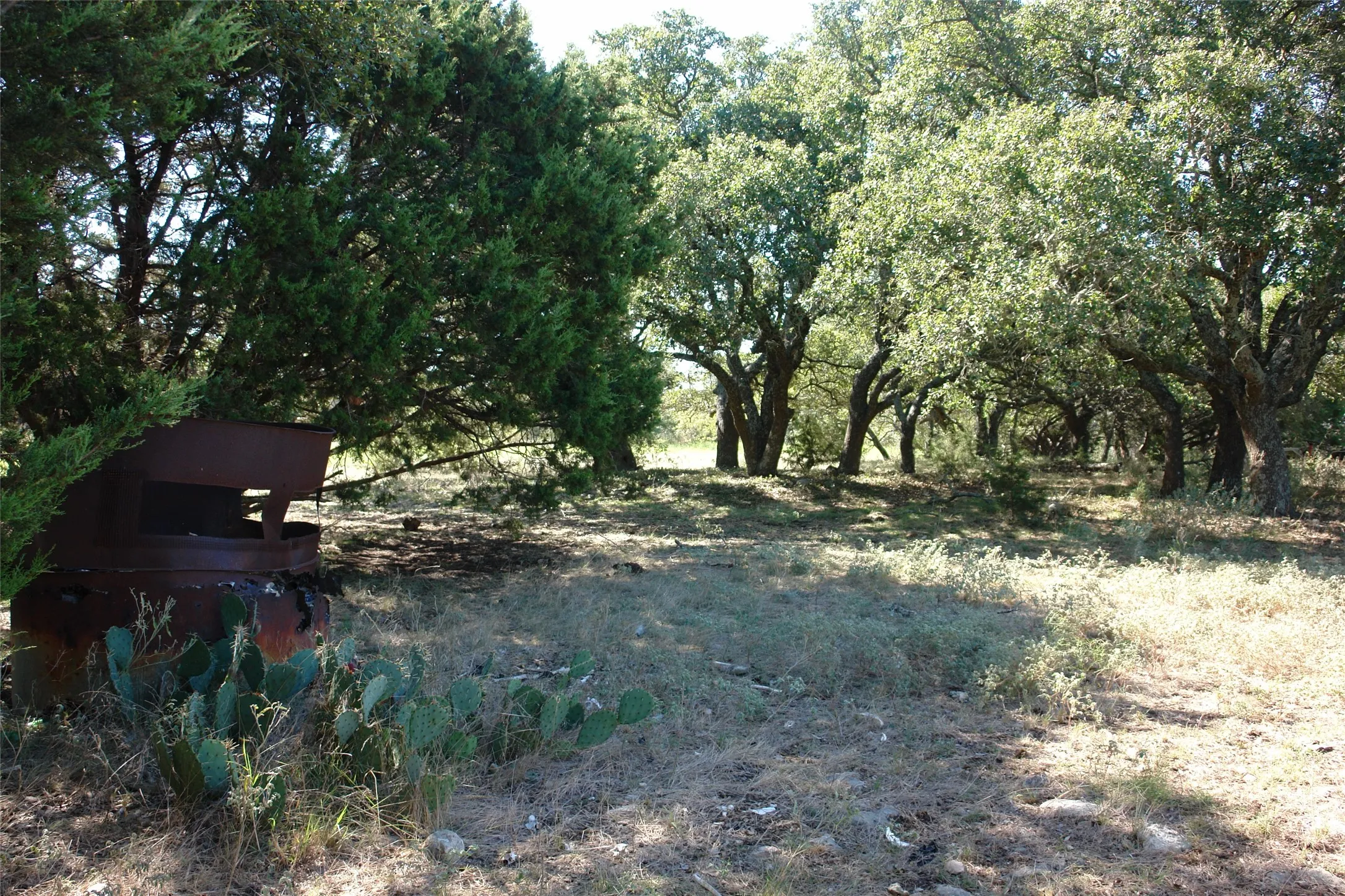 View of nature