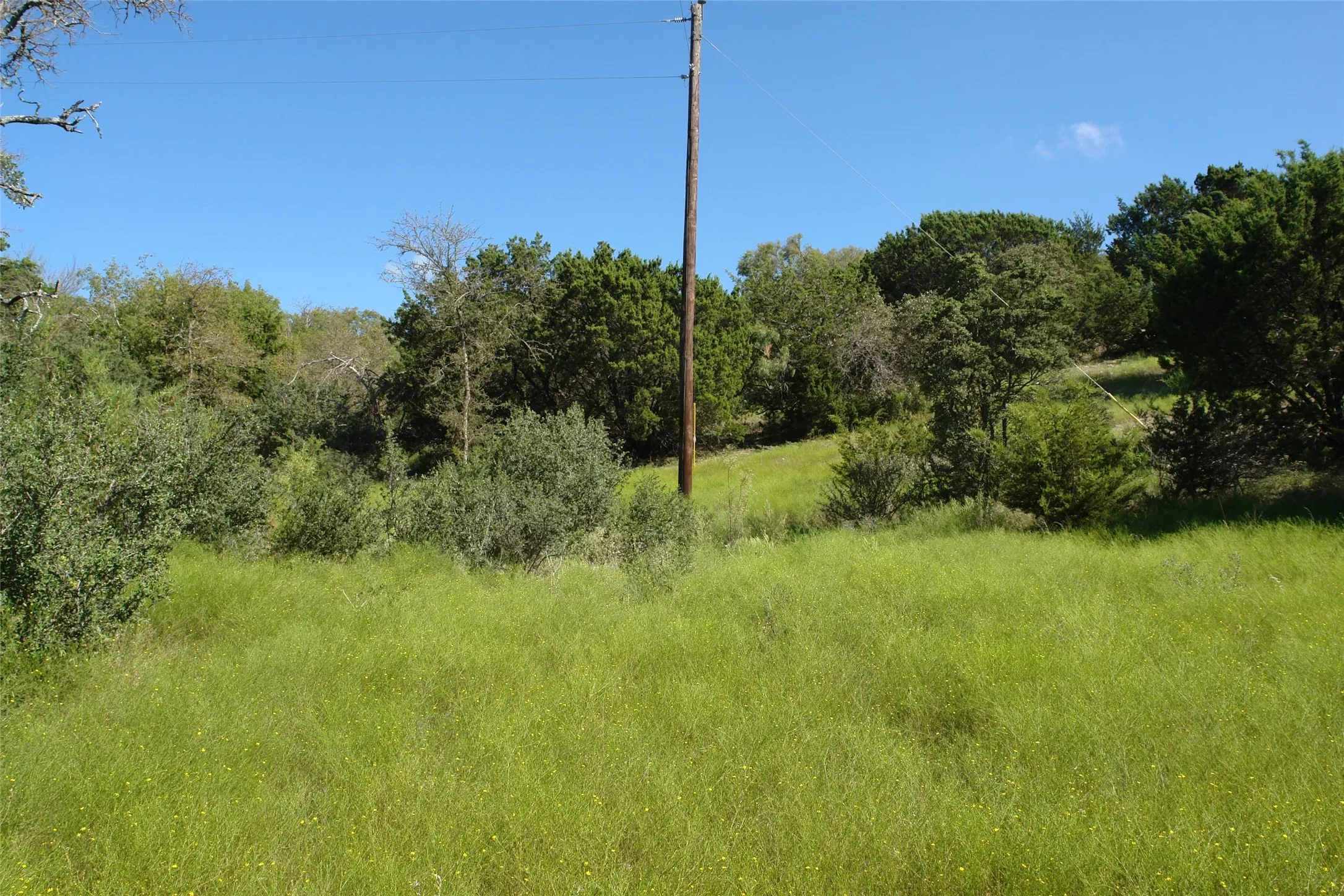 View of nature