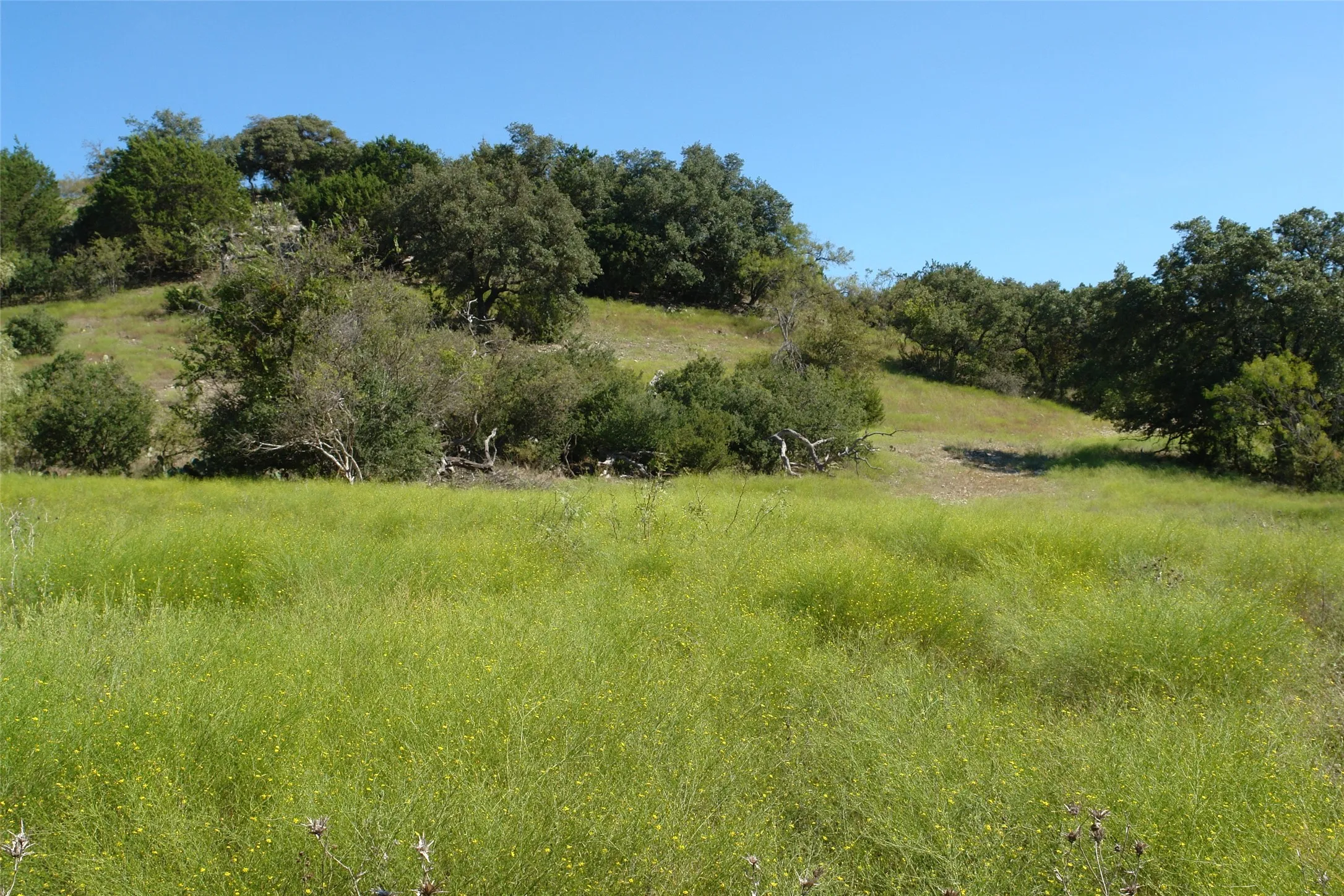 View of nature with a rural view