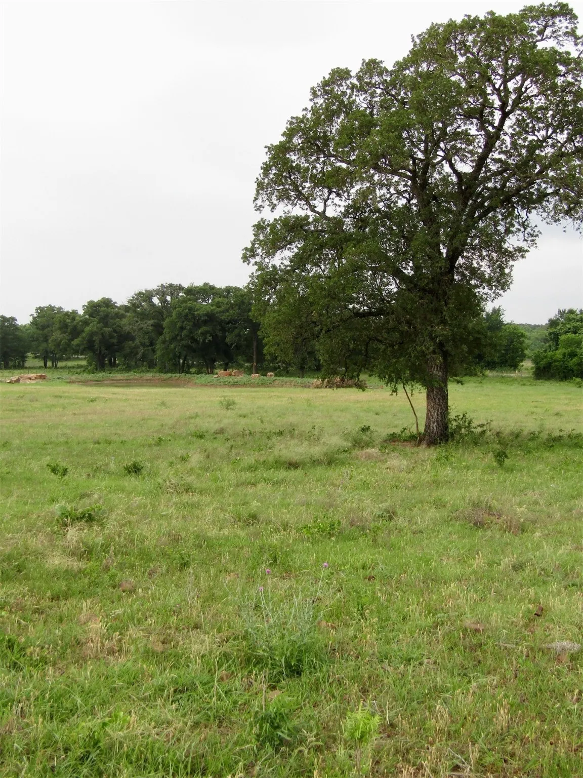View of nature featuring a rural view