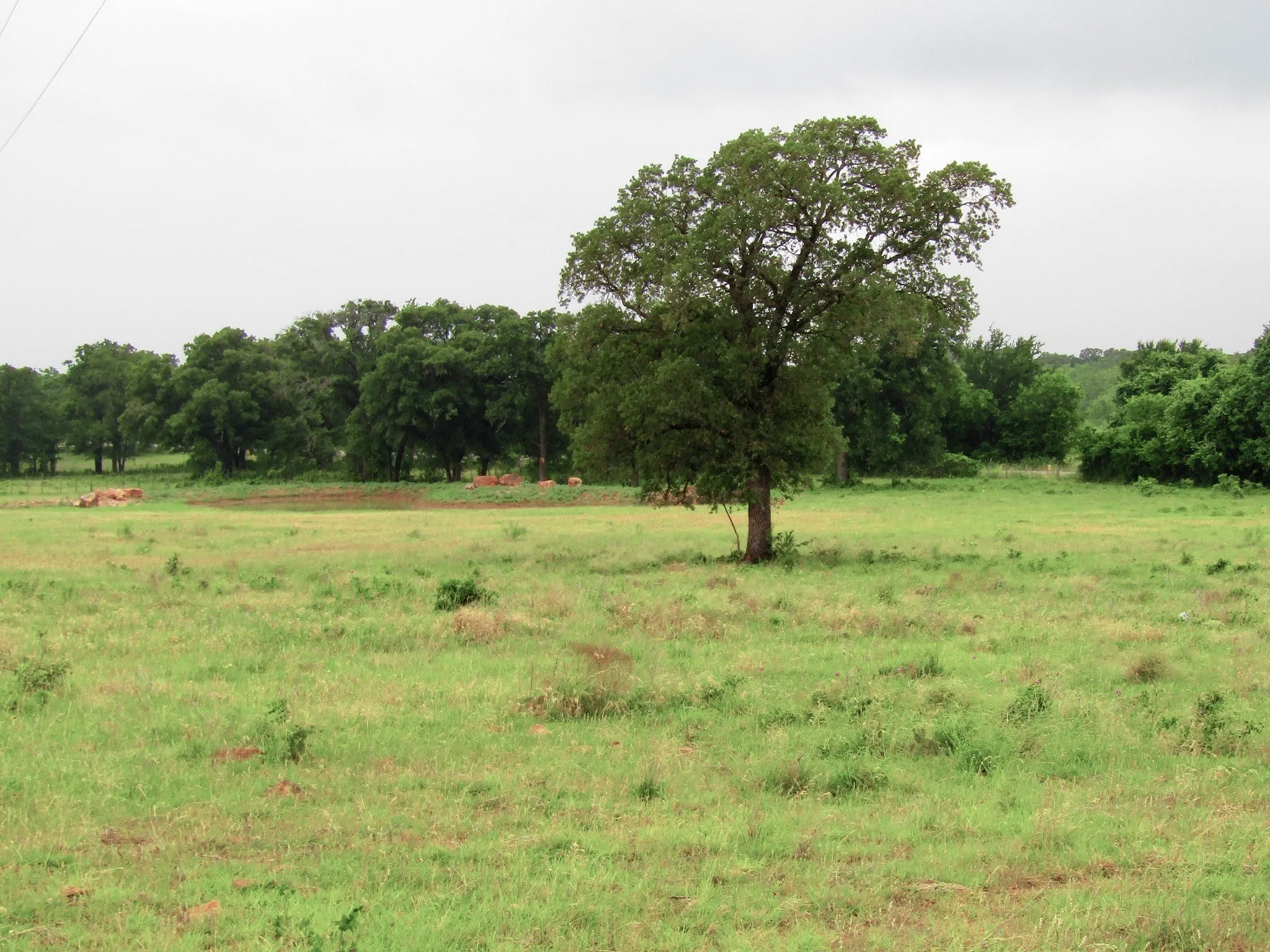 View of landscape with a rural view