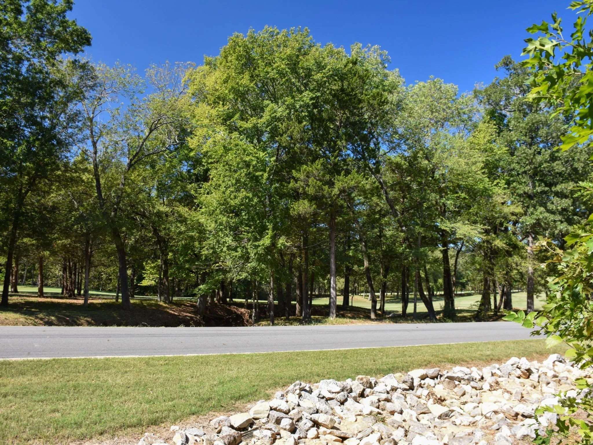Unimproved Land For Sale in Grayson County , TBD Annadale Lane, Gordonville, Texas 76245, 0, 0, Garage spaces, 0 Sqft, built in 0, mls#20743397, Real Estate Agent in Gordonville, Homes For Sale in Grayson county, Homes For Sale in Gordonville, Realtor in Gordonville Texas, Real Estate Brokerage Independent Realty Texas, Luminita Cordes Realtor