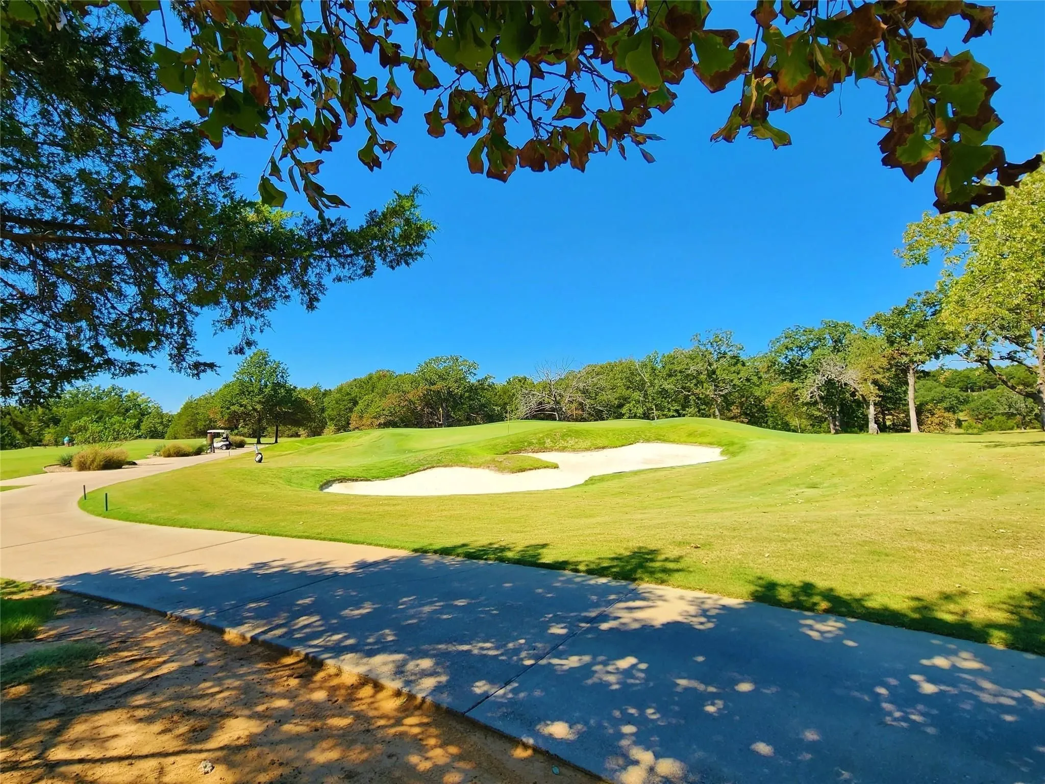 Unimproved Land For Sale in Grayson County , TBD Annadale Lane, Gordonville, Texas 76245, 0, 0, Garage spaces, 0 Sqft, built in 0, mls#20743397, Real Estate Agent in Gordonville, Homes For Sale in Grayson county, Homes For Sale in Gordonville, Realtor in Gordonville Texas, Real Estate Brokerage Independent Realty Texas, Luminita Cordes Realtor