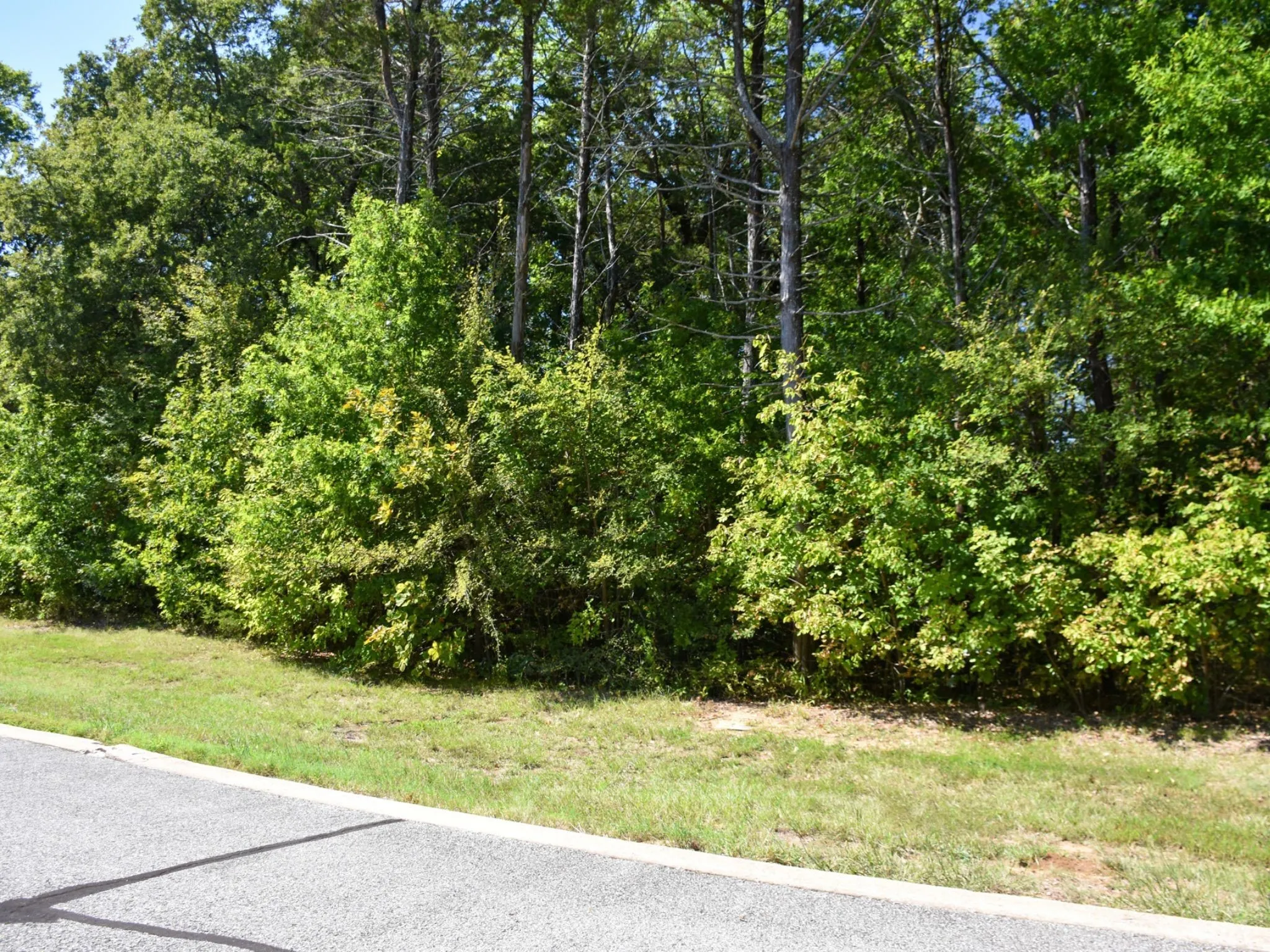 Unimproved Land For Sale in Grayson County , TBD Annadale Lane, Gordonville, Texas 76245, 0, 0, Garage spaces, 0 Sqft, built in 0, mls#20743397, Real Estate Agent in Gordonville, Homes For Sale in Grayson county, Homes For Sale in Gordonville, Realtor in Gordonville Texas, Real Estate Brokerage Independent Realty Texas, Luminita Cordes Realtor