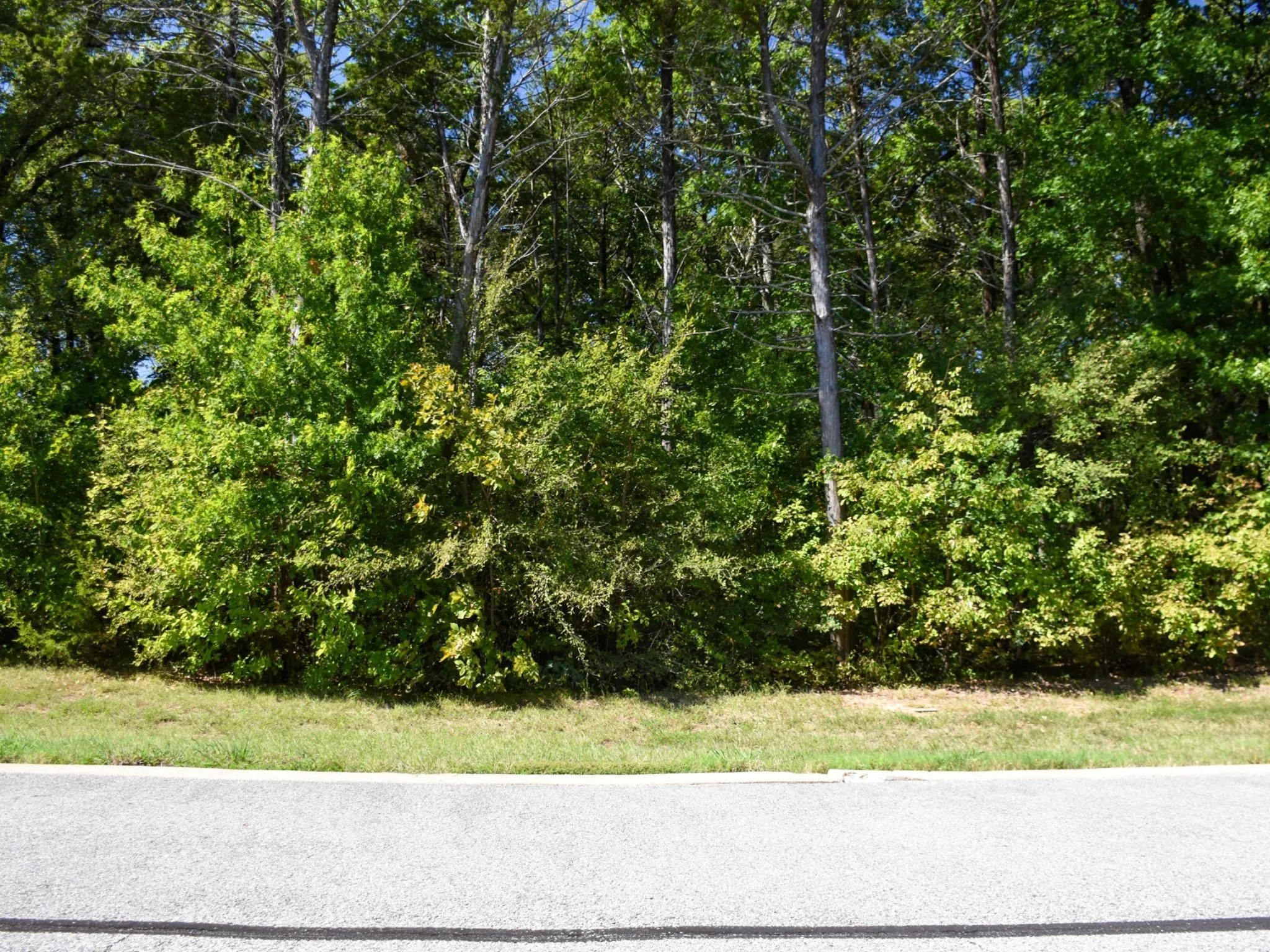 Unimproved Land For Sale in Grayson County , TBD Annadale Lane, Gordonville, Texas 76245, 0, 0, Garage spaces, 0 Sqft, built in 0, mls#20743397, Real Estate Agent in Gordonville, Homes For Sale in Grayson county, Homes For Sale in Gordonville, Realtor in Gordonville Texas, Real Estate Brokerage Independent Realty Texas, Luminita Cordes Realtor